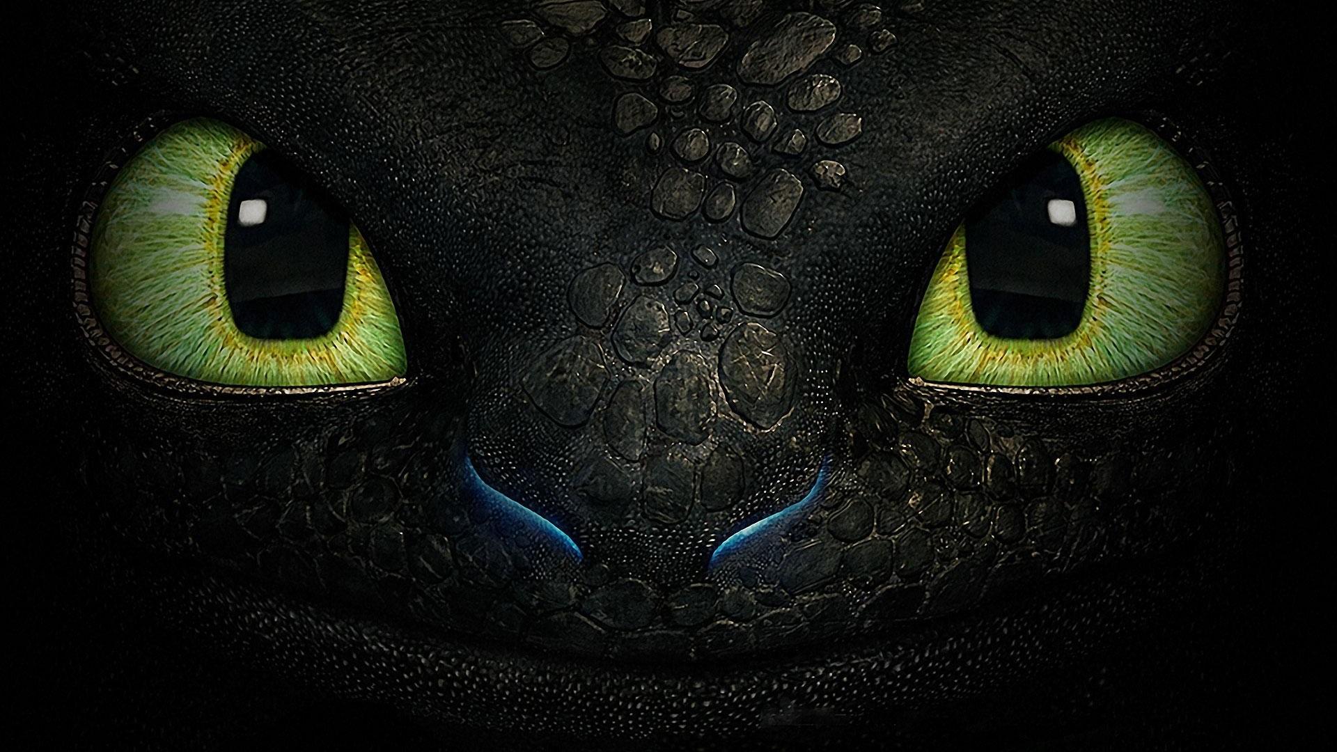 Download Toothless (How To Train Your Dragon) Movie How To Train Your