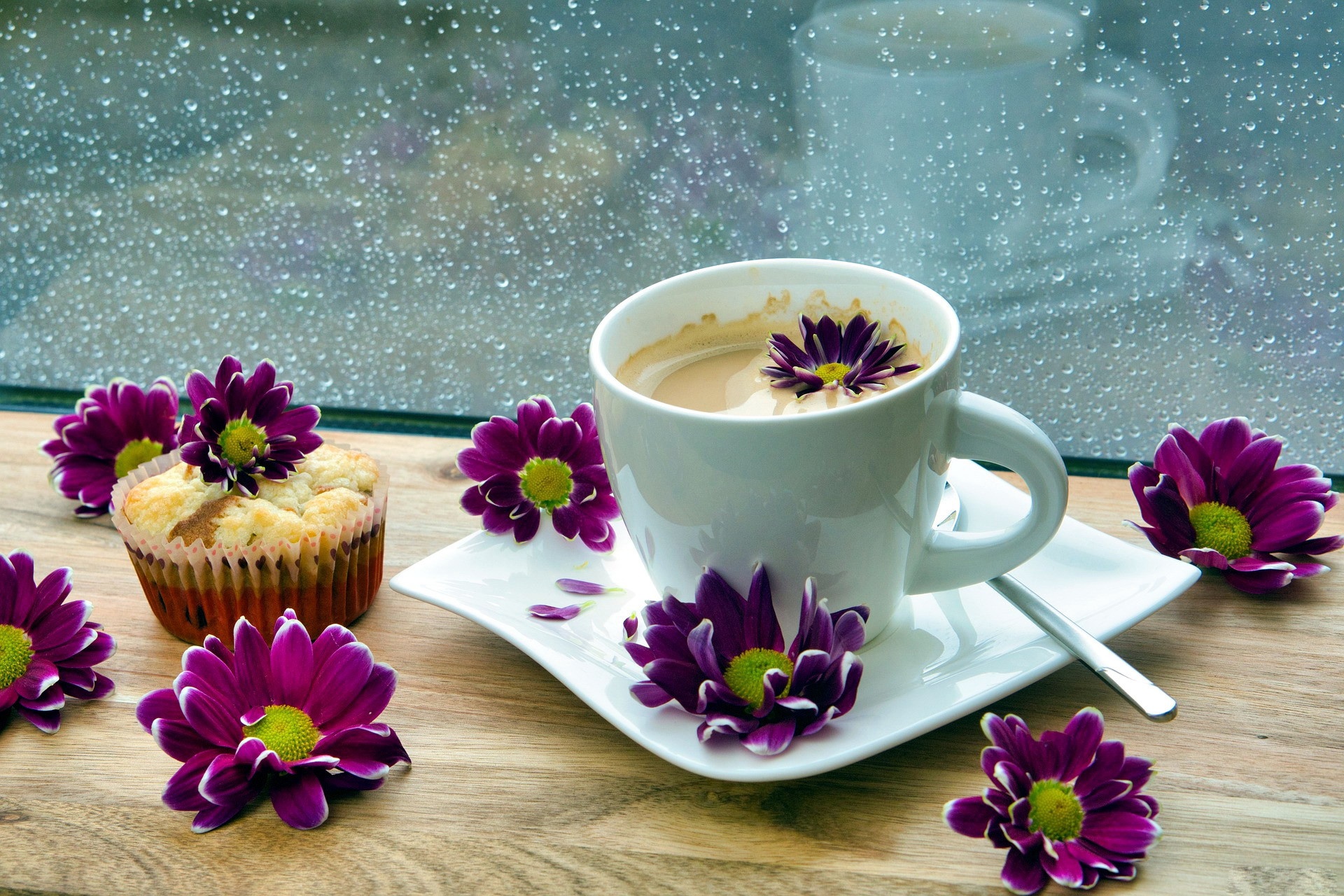 Download Drink Chrysanthemum Cup Flower Food Coffee HD Wallpaper