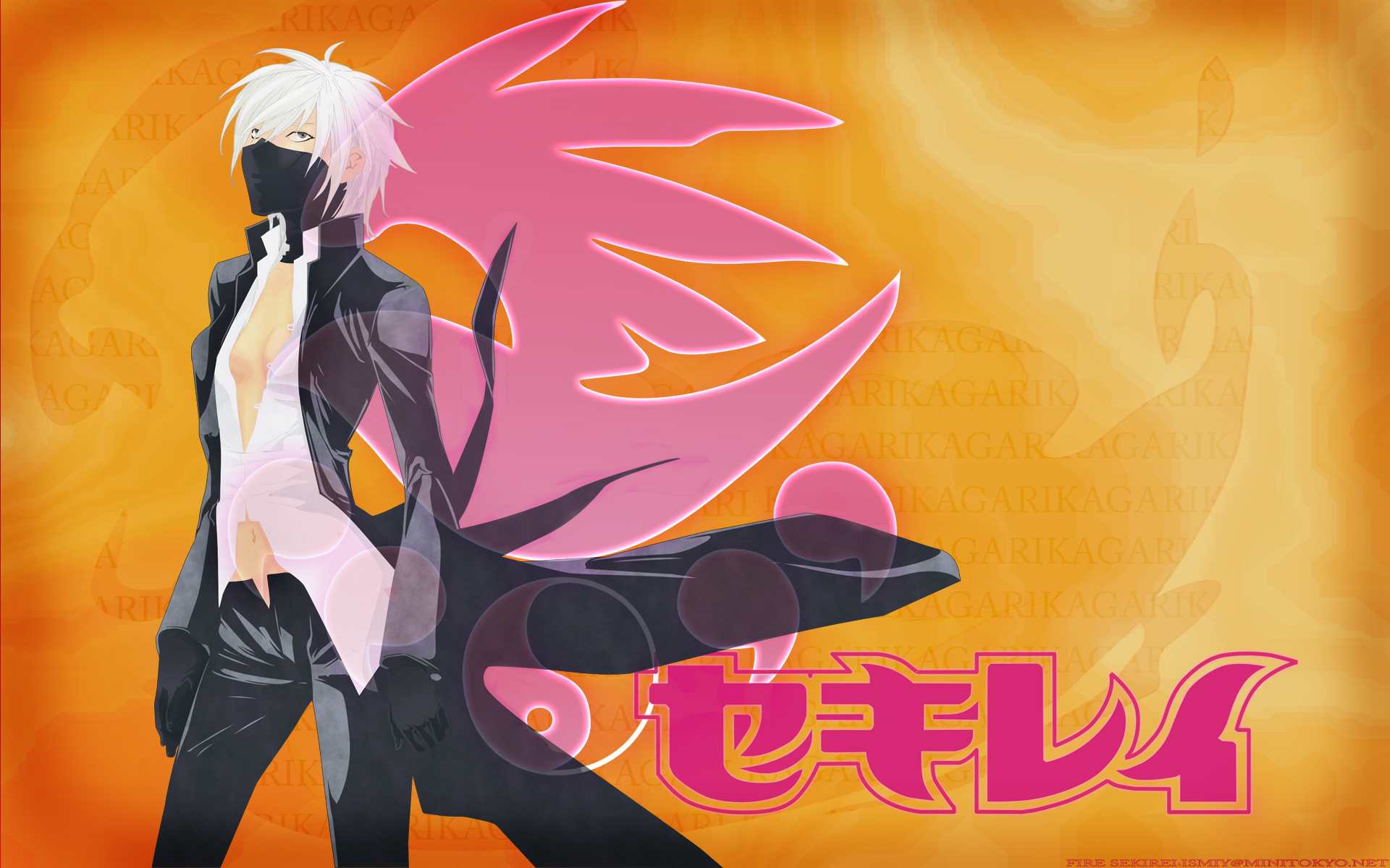 Sekirei HD Wallpaper Background Image 1920x1200