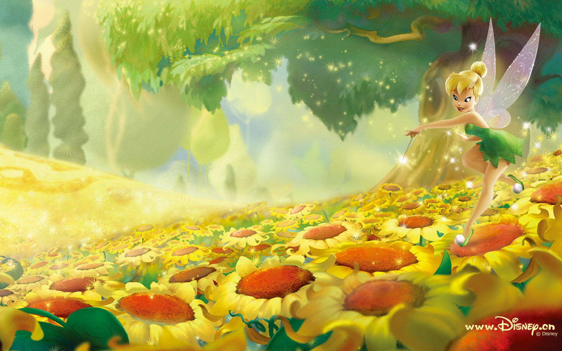 Download Fairy Movie Tinker Bell HD Wallpaper