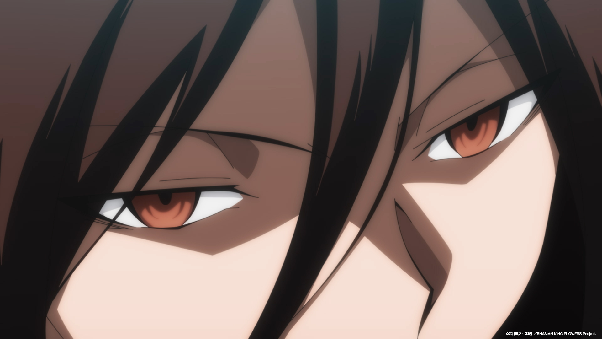 Shaman King Flowers HD Anime Wallpaper