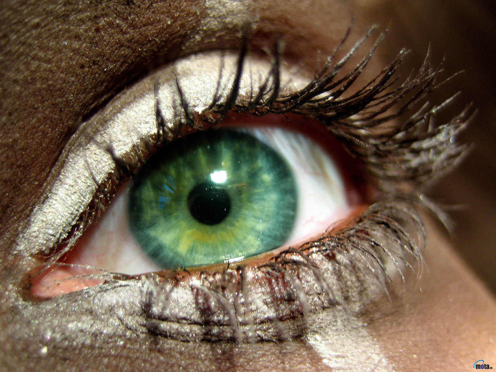 Download Green Eyes Closeup Artistic Eye Wallpaper