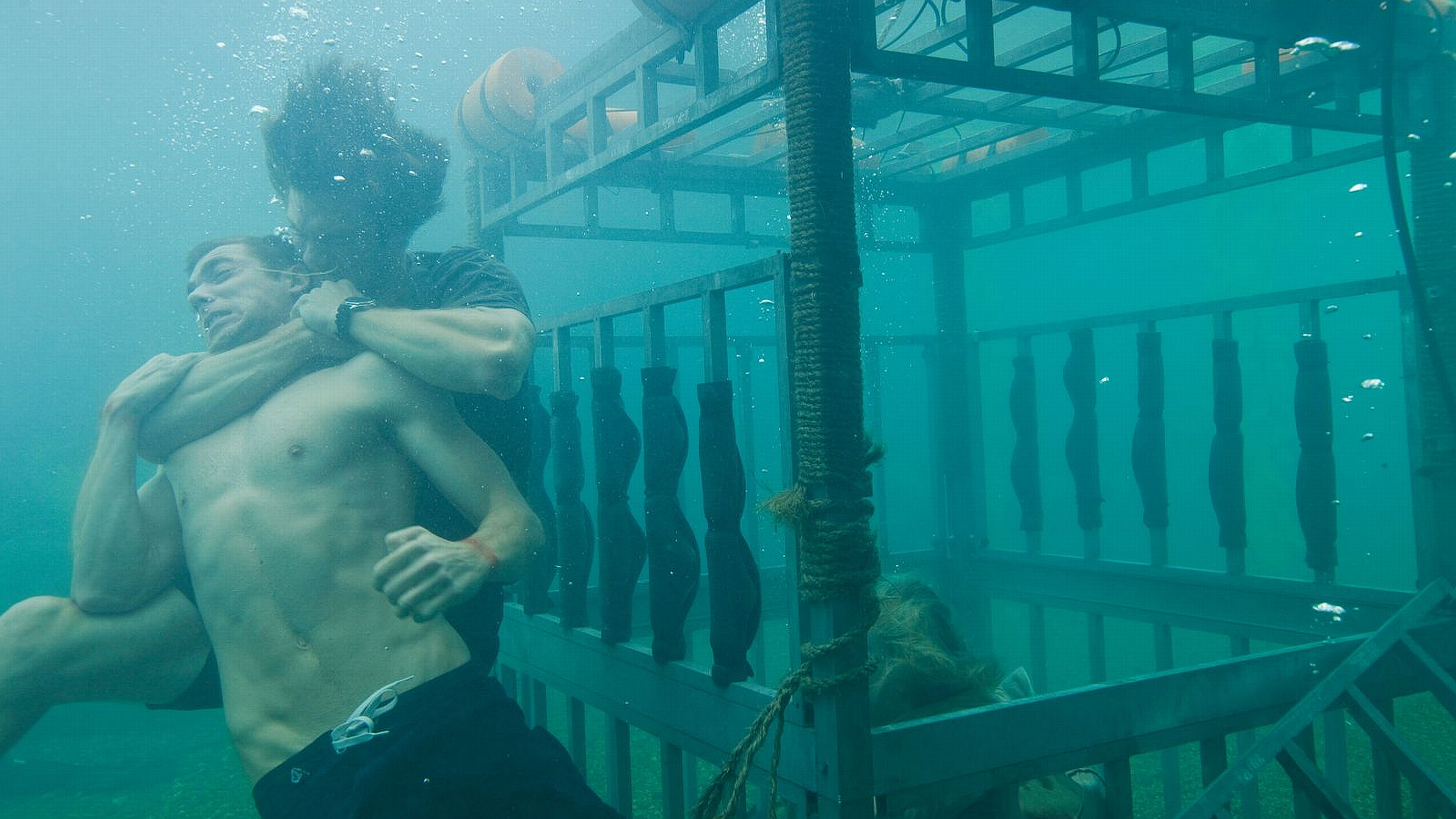 Shark Night 4k Ultra HD Wallpaper Background Image 3840x2160 ID