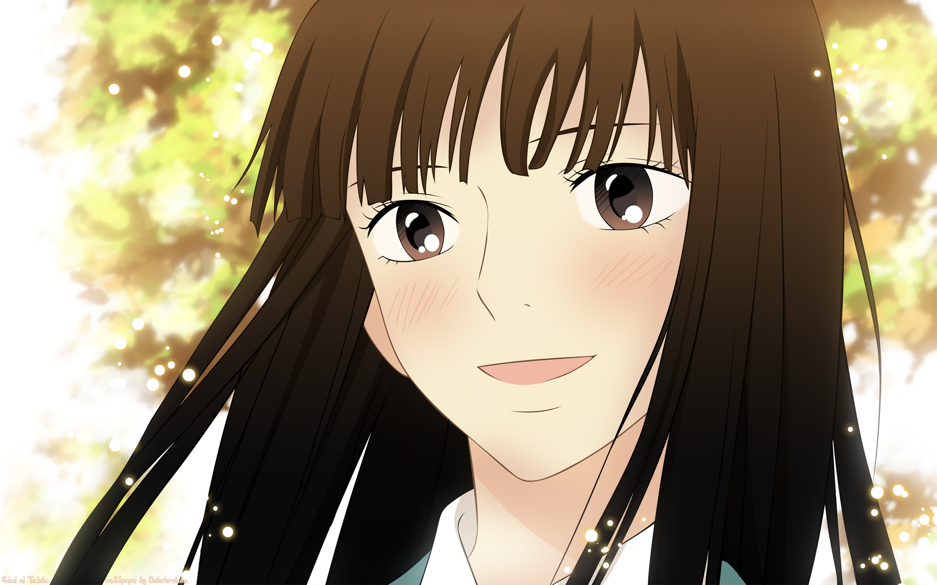 Kimi Ni Todoke Full HD Wallpaper and Background Image 1920x1200 ID
