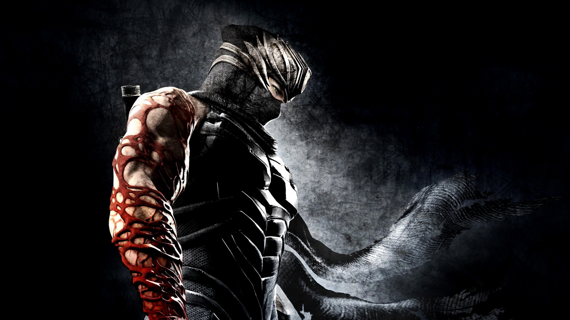 Ninja Gaiden 3 HD Wallpaper Background Image 1920x1080