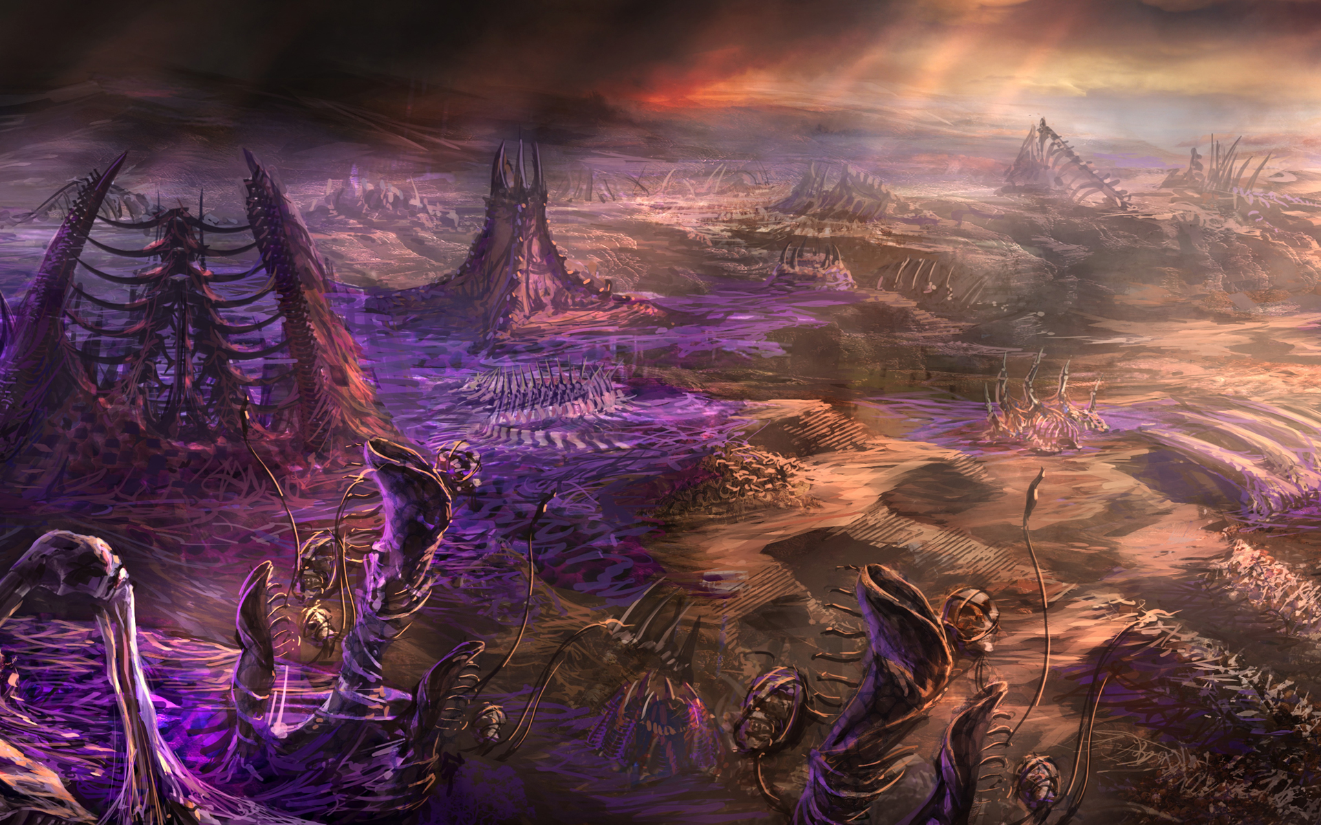 Starcraft HD Wallpaper Background Image 1920x1200