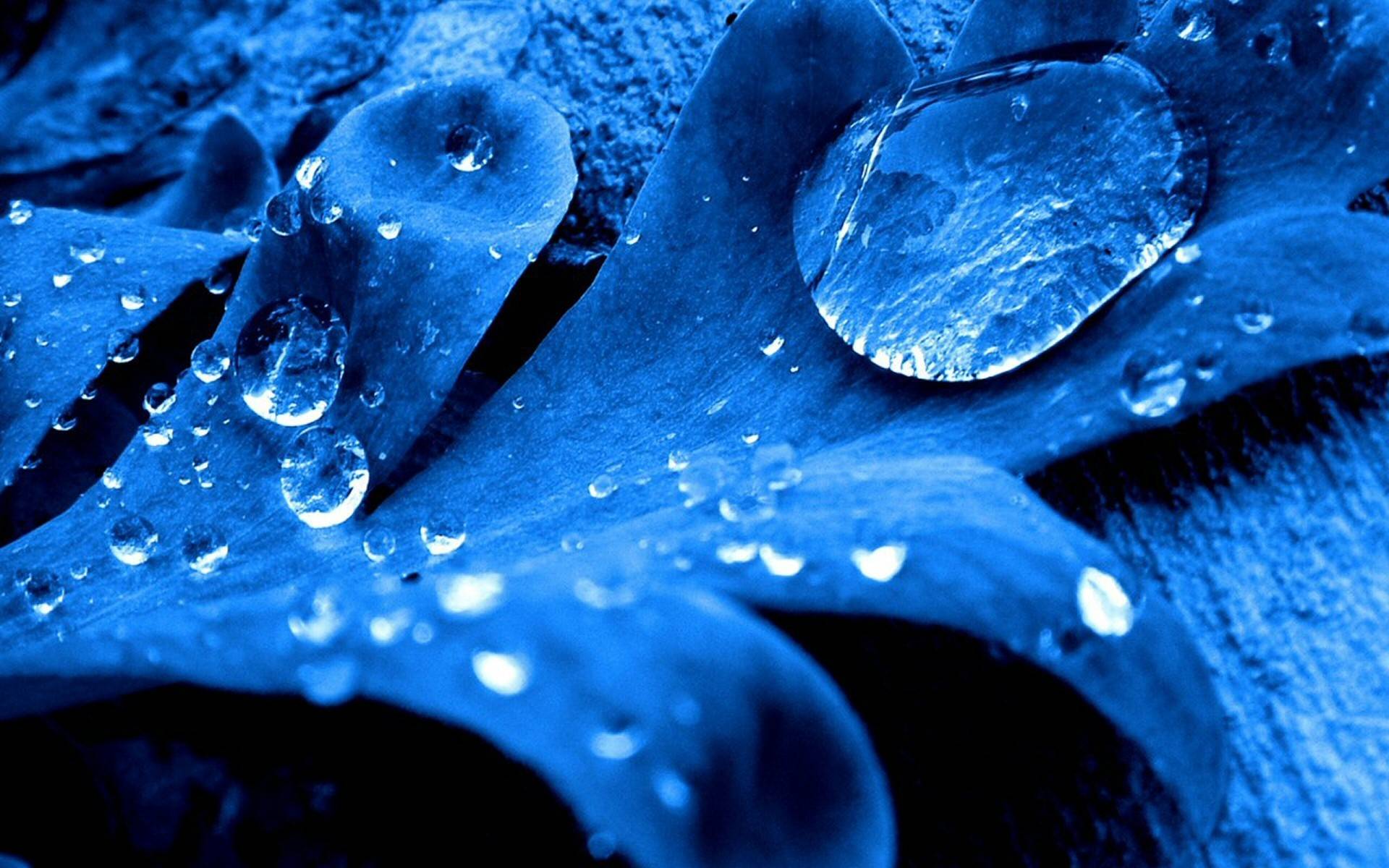 640 Water Drop HD Wallpapers Backgrounds Wallpaper Abyss