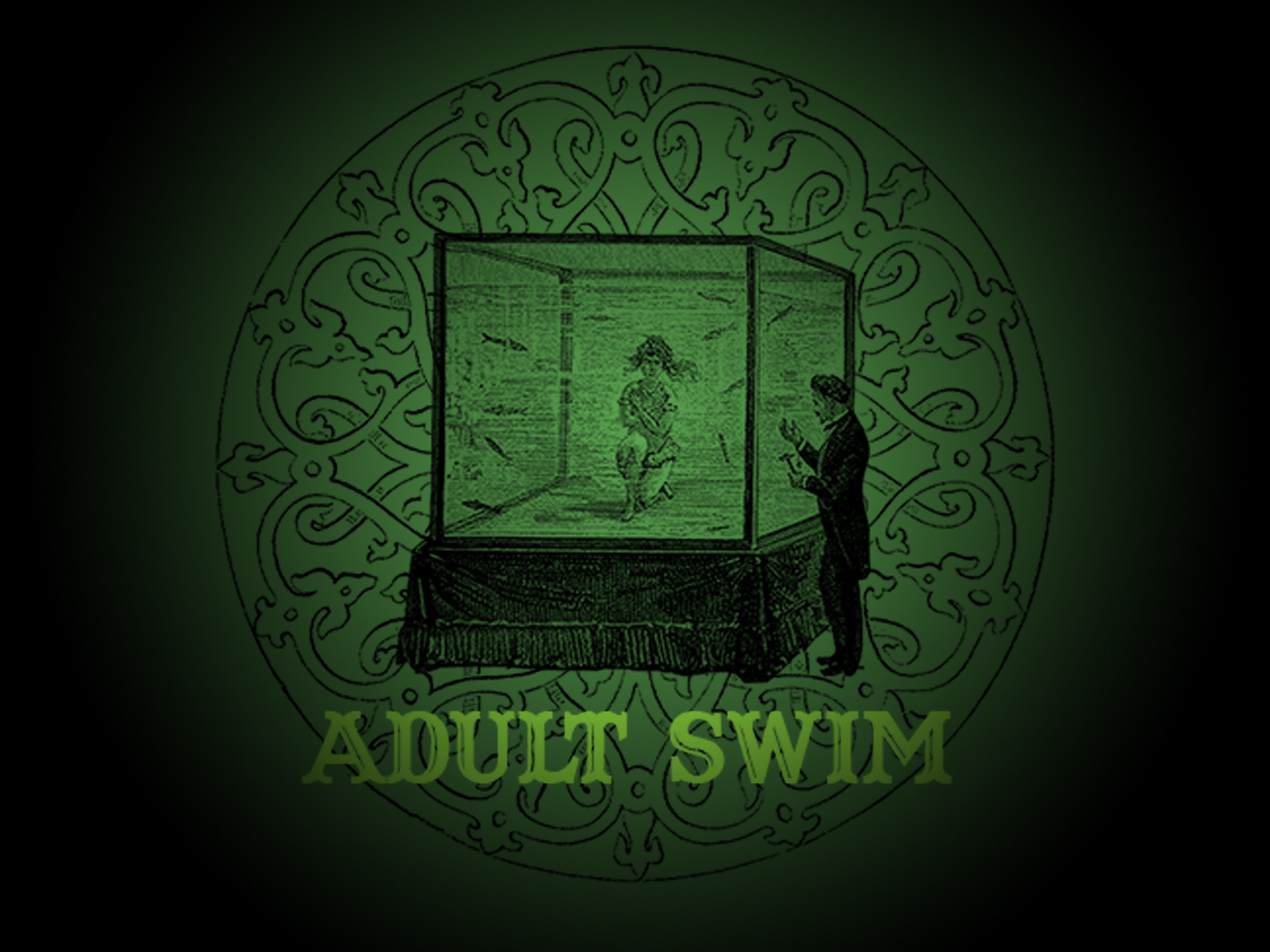 Adult Swim Wallpaper and Background Image 1600x1200
