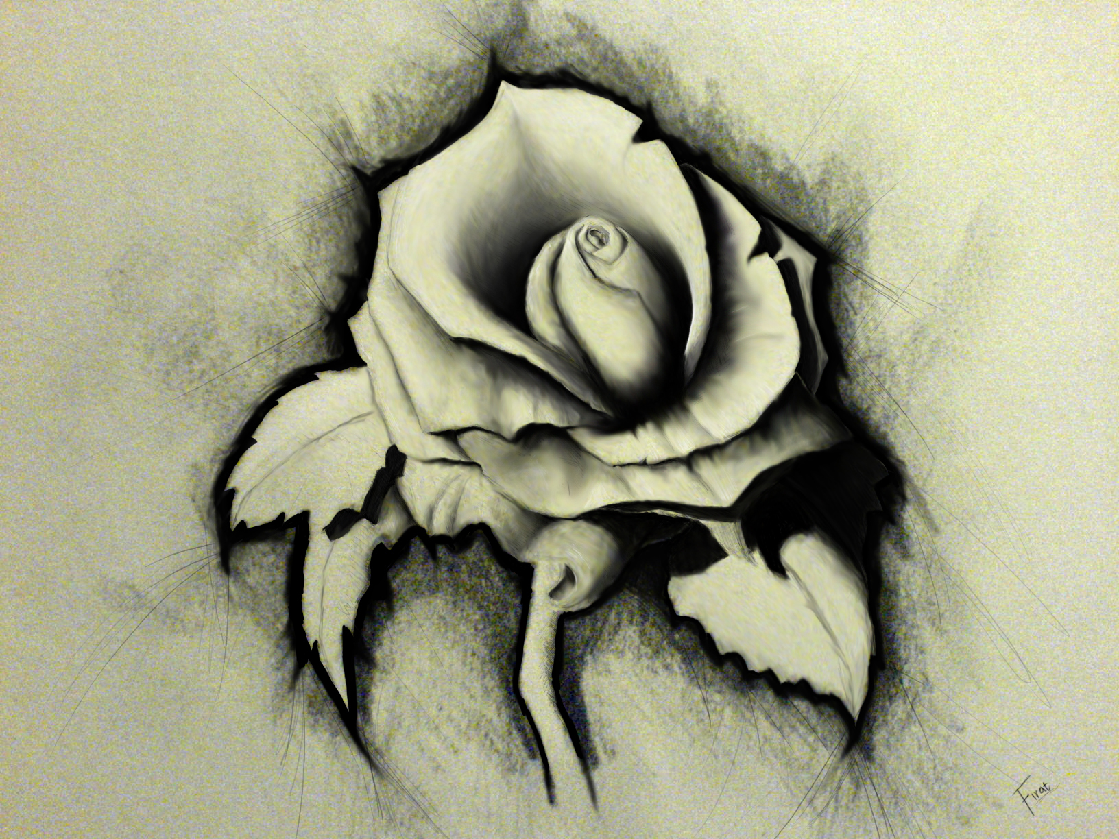 Artistic Rose Drawing HD Wallpaper by Firat Isik