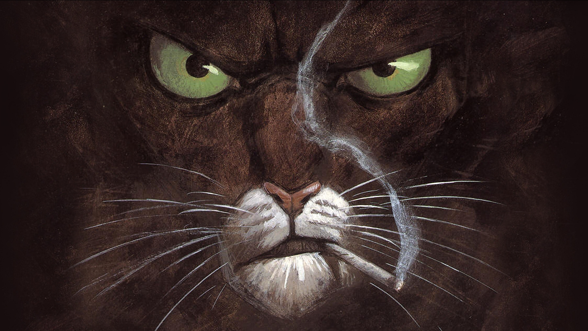 Blacksad Full HD Wallpaper and Background Image 1920x1080 ID565590