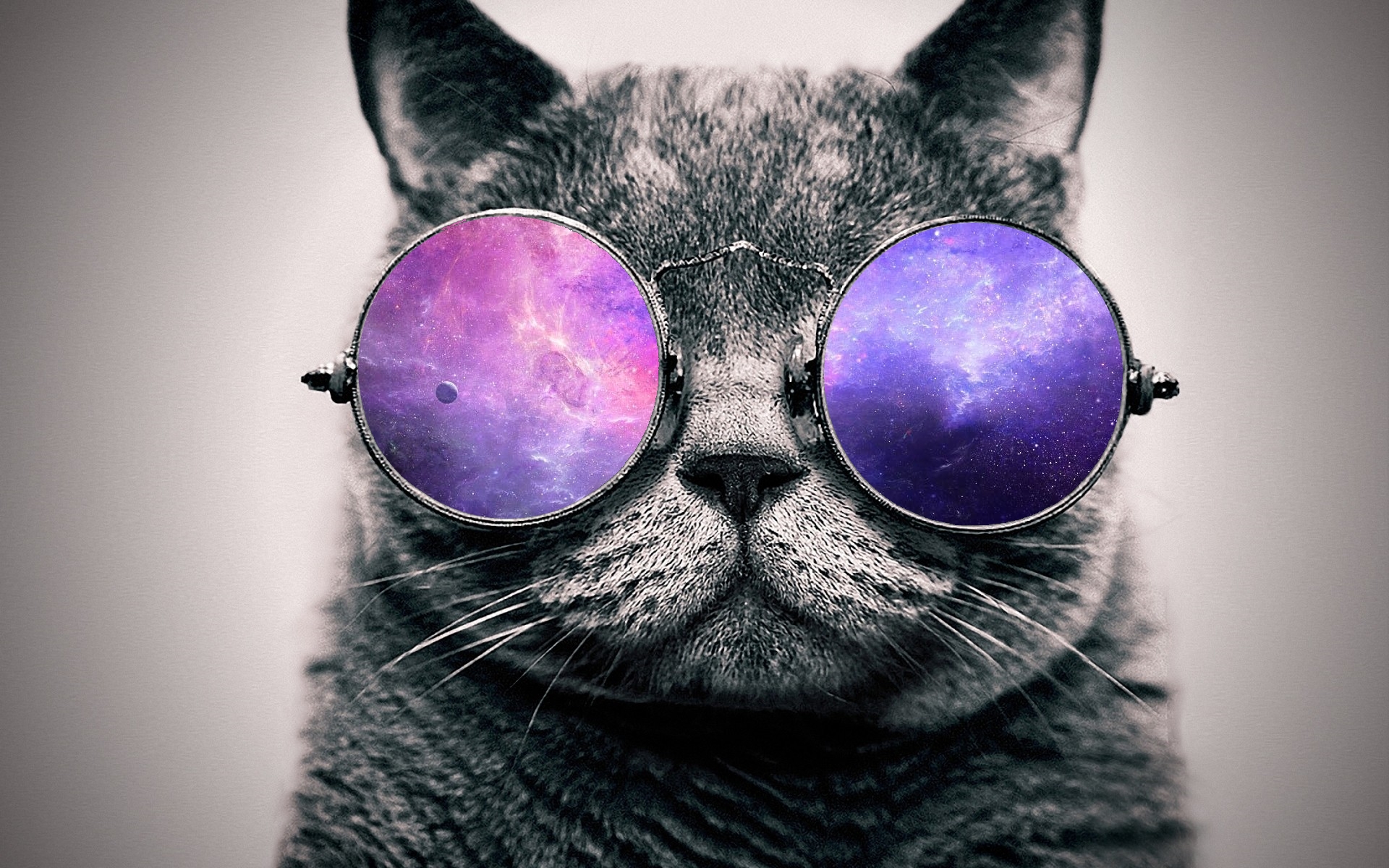 Chat Fond D'écran Hd Yeux Chats Animaux Museau Animaux Chats Hd Art