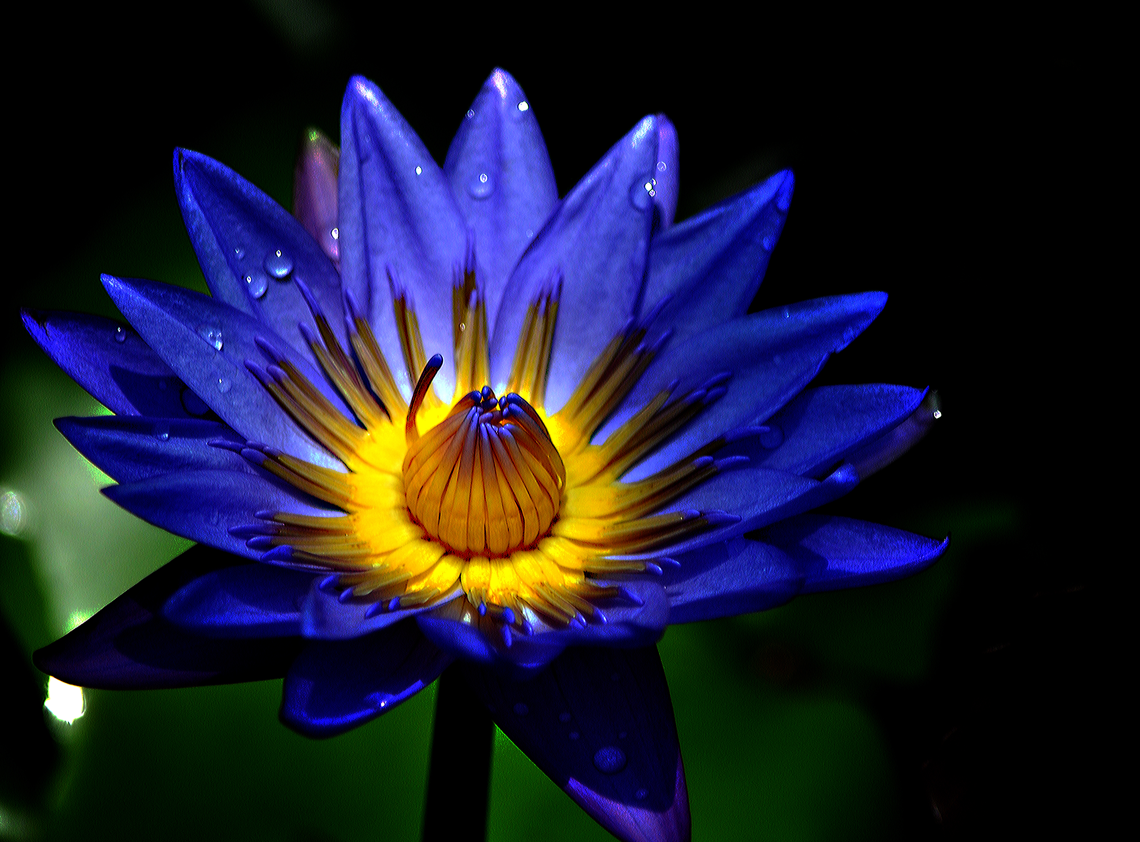 After rain 4k Ultra HD Wallpaper Background Image 3856x2848