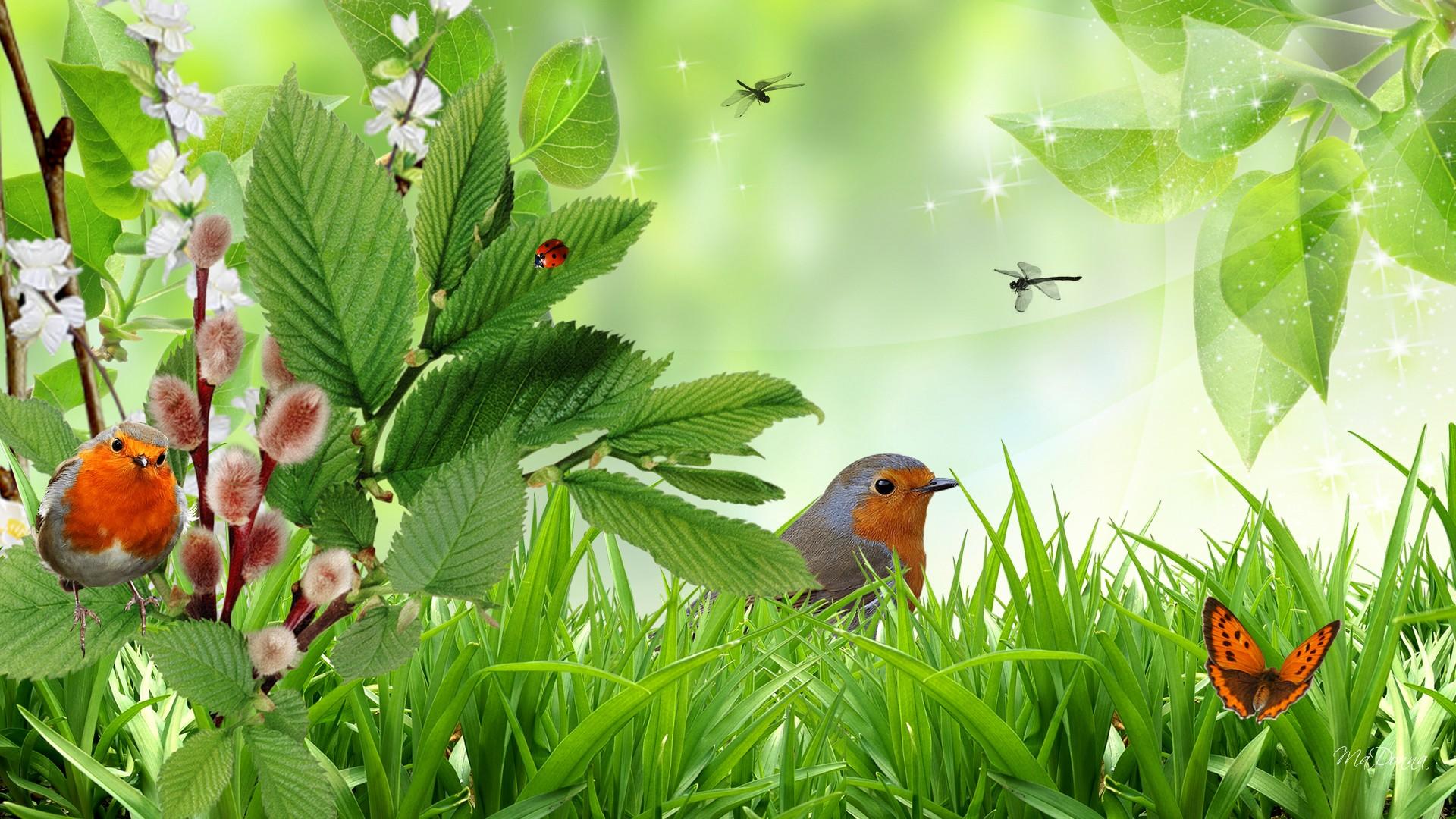 Yellowandblue Bird Sitting On The Tree Hd Wallpaper 60A