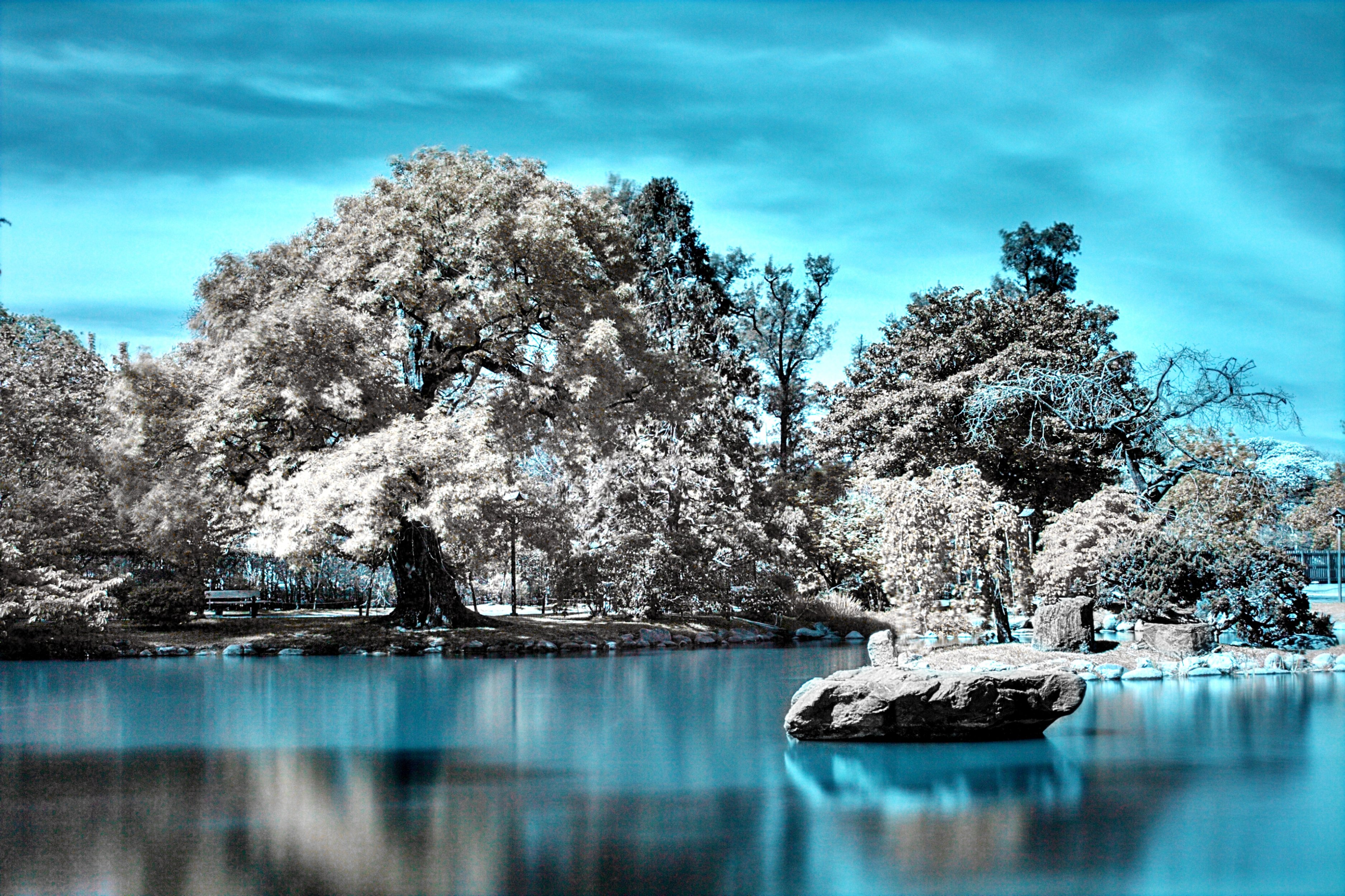 Infrared Photography lake and trees Full HD Wallpaper and Background