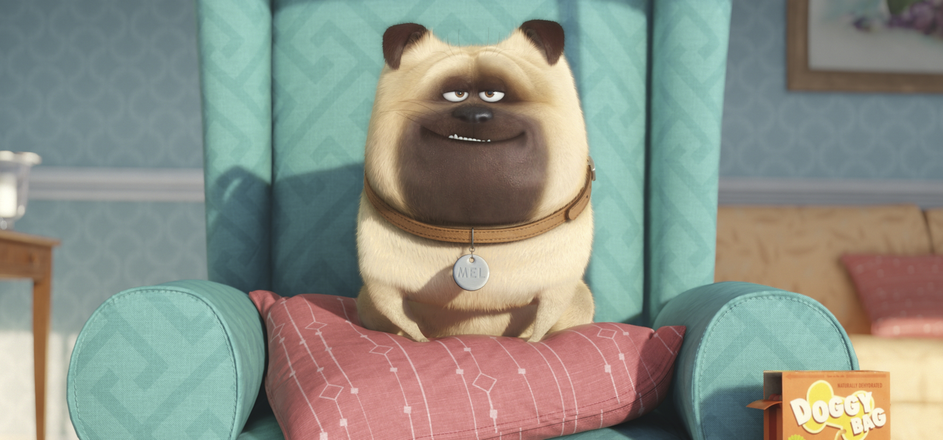 The Secret Life Of Pets HD Wallpaper Background Image 3600x1681