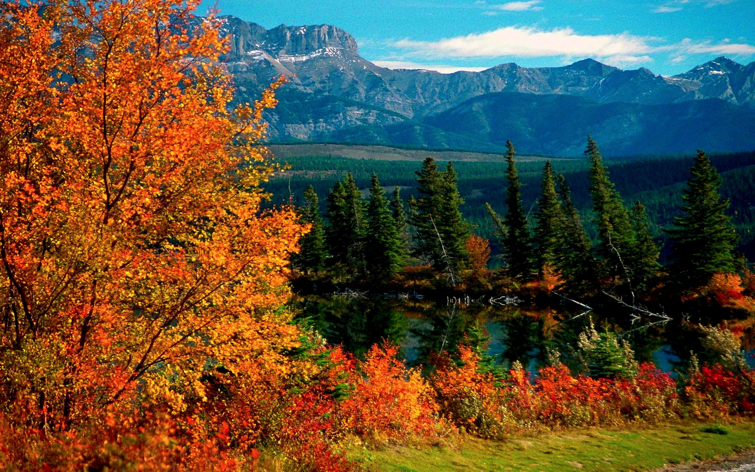 Download Lake Mountain Tree Fall Jasper National Park Nature Landscape
