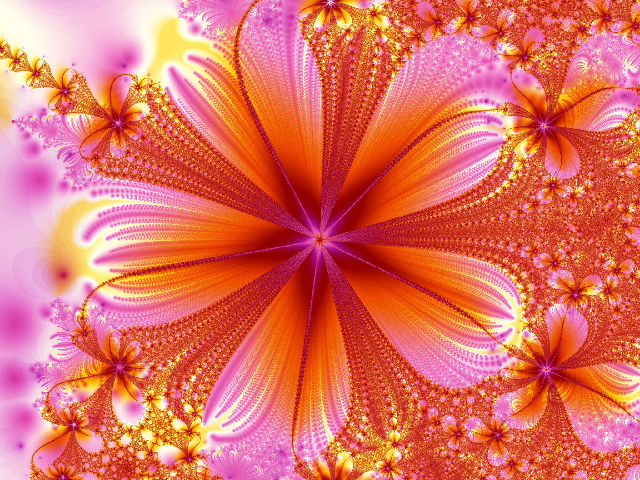 Download Pink Orange (Color) Artistic Flower HD Wallpaper