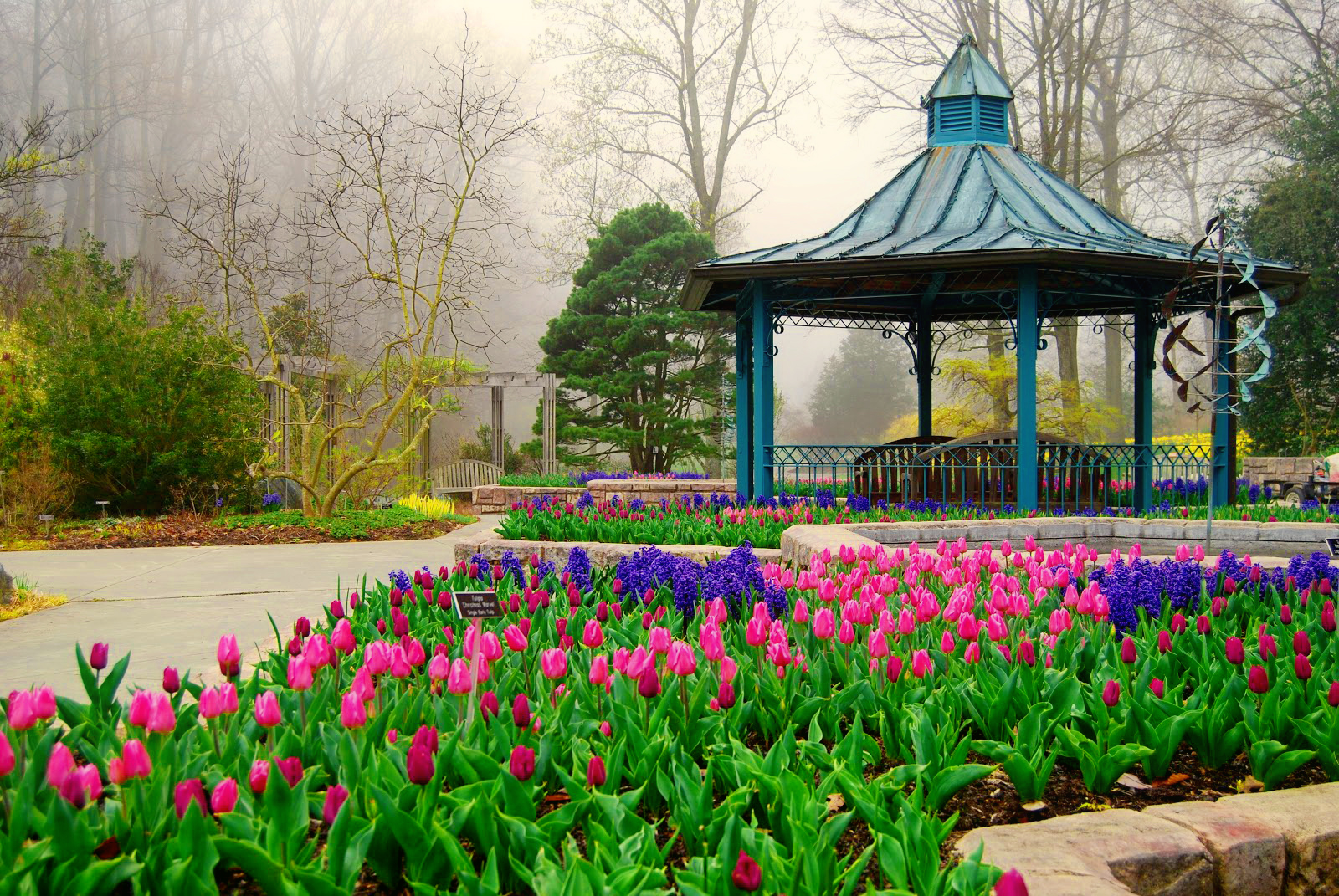 Download Tree Tulip Flower Spring Park Man Made Gazebo Wallpaper