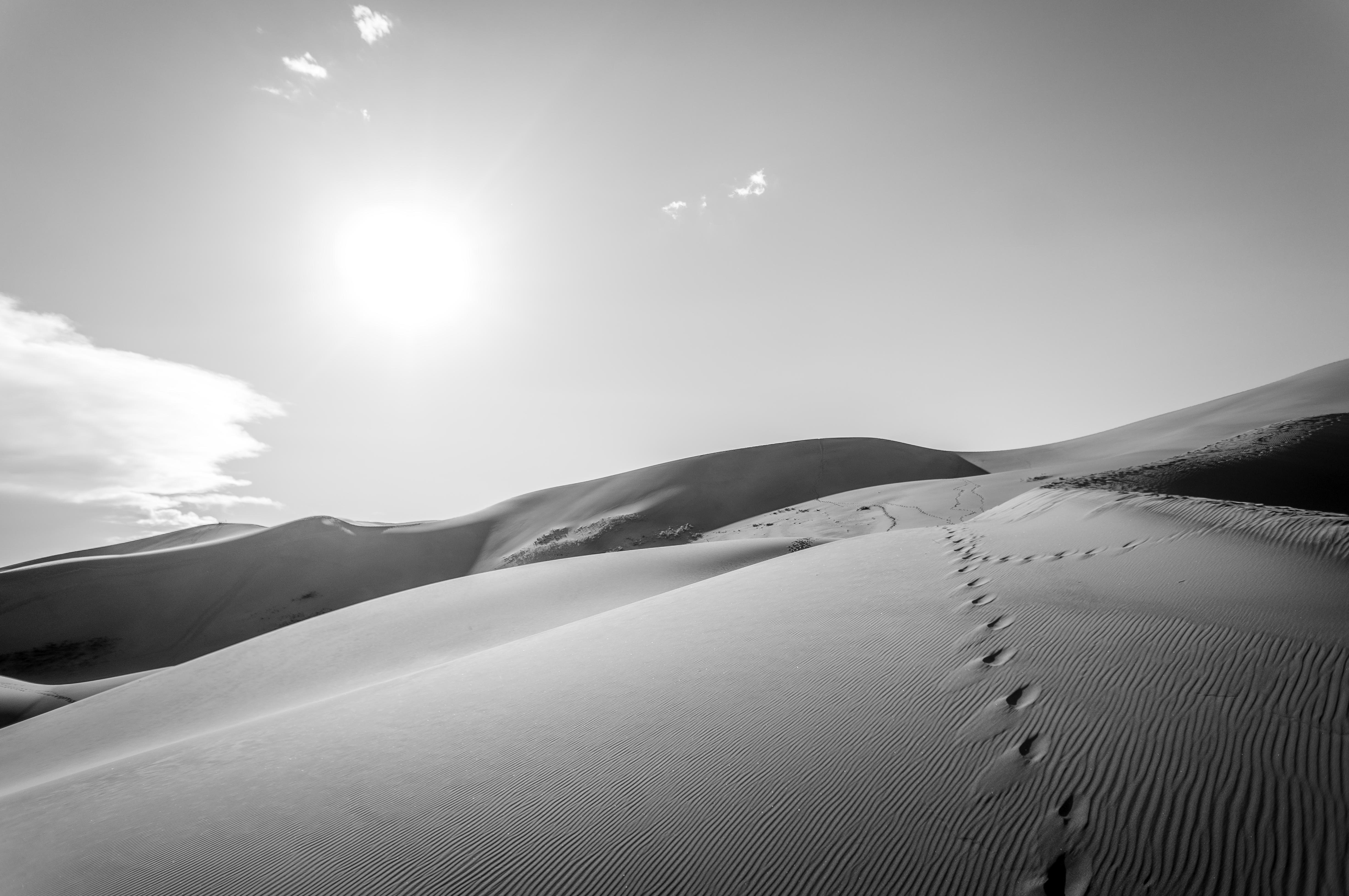 Black And White Desert Wallpaper