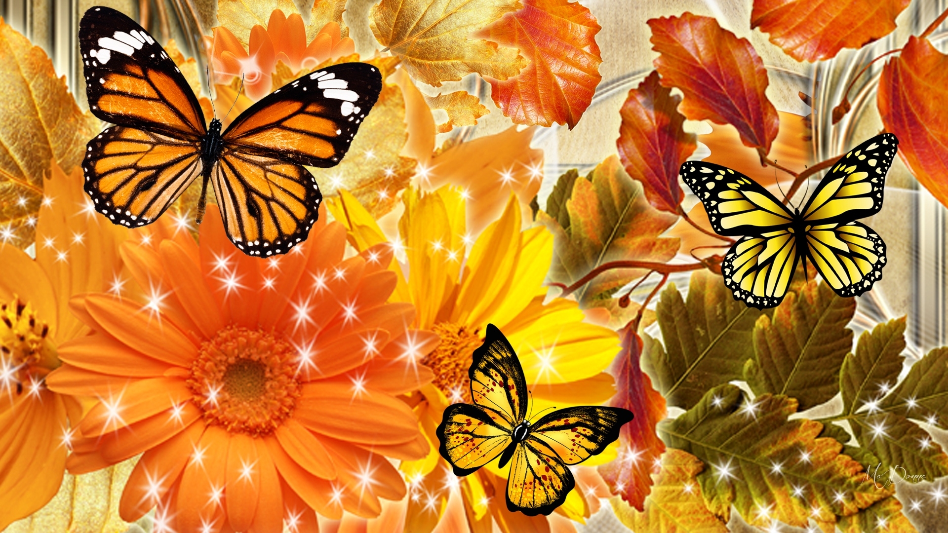 Download Yellow Orange (Color) Butterfly Flower Artistic Fall HD
