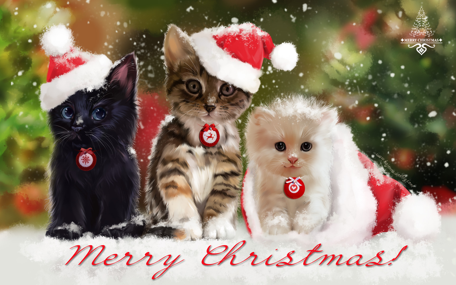 Download Painting Cute Santa Hat Cat Merry Christmas Holiday Christmas