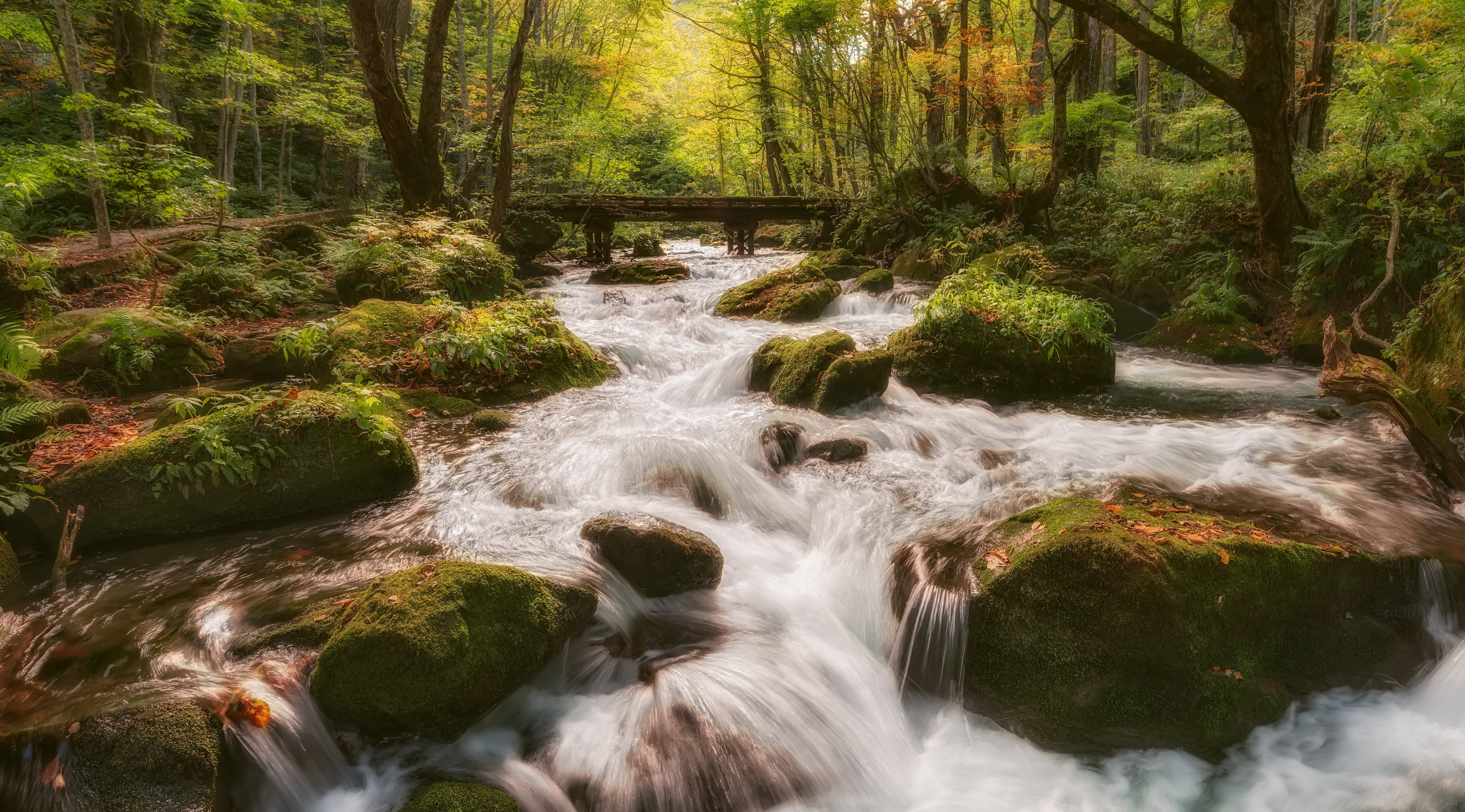 Forest Stream Fond d'écran HD ArrièrePlan 3840x2130