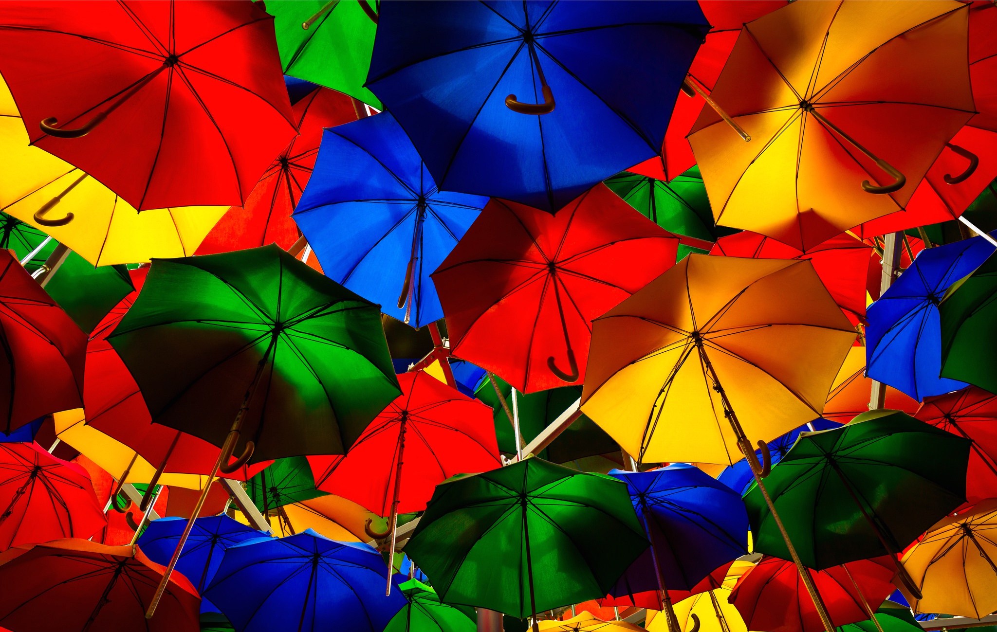 Details more than 140 umbrella wallpaper super hot xkldase.edu.vn