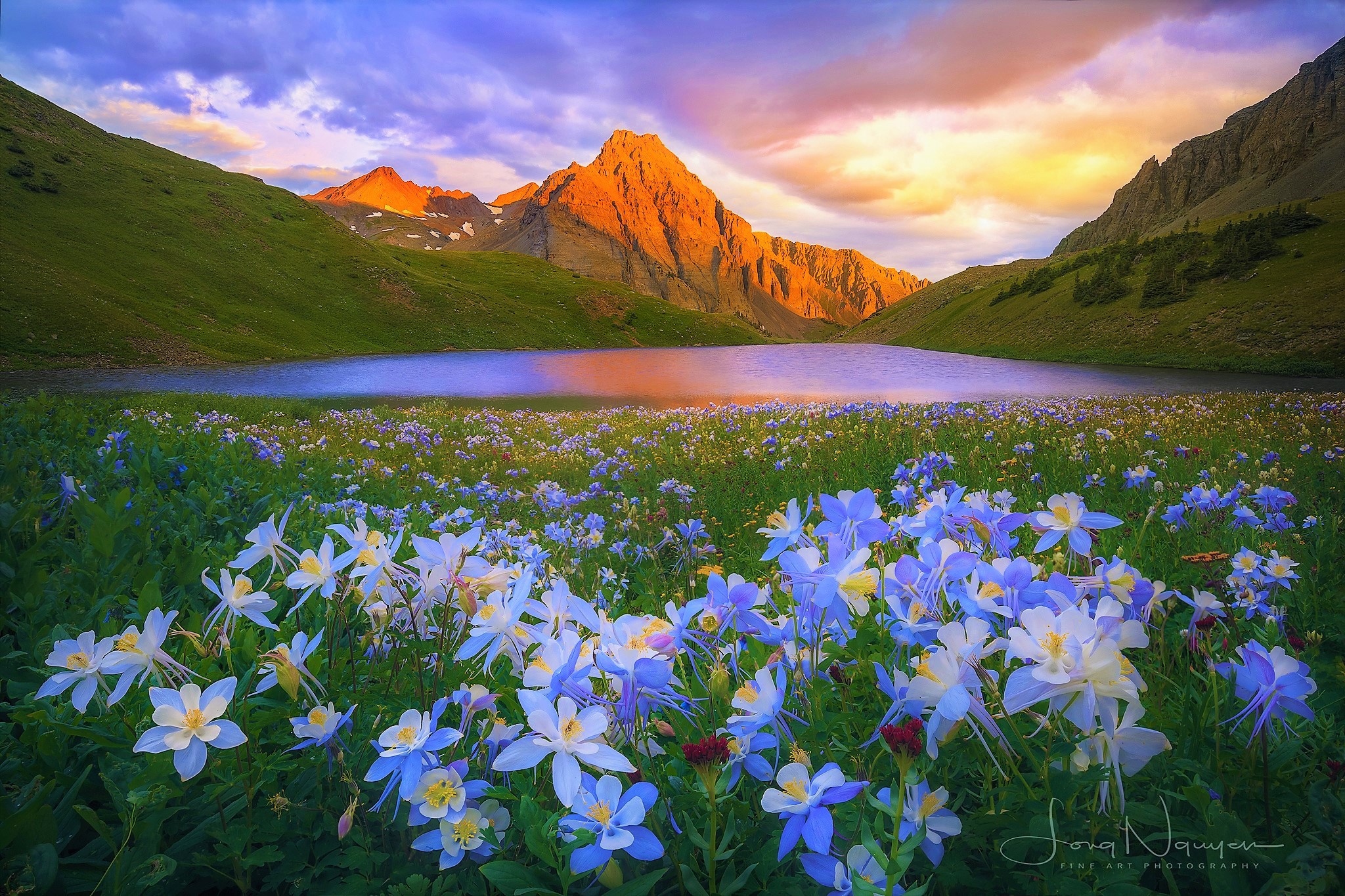 Download Blue Flower Flower Grass Mountain Spring Landscape Nature Lake