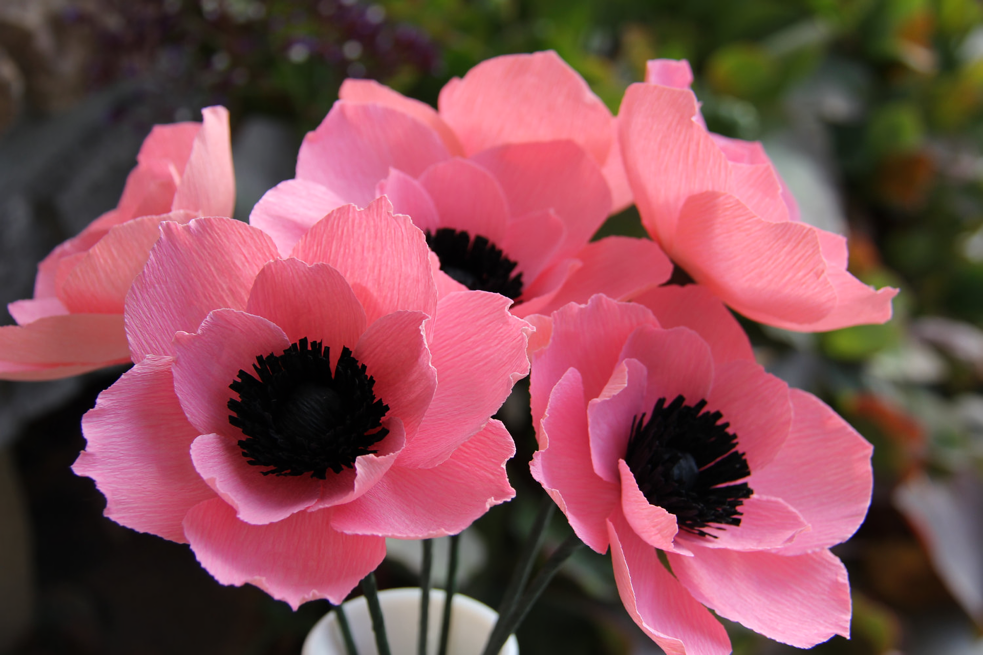 Download Pink Flower Flower Nature Anemone HD Wallpaper