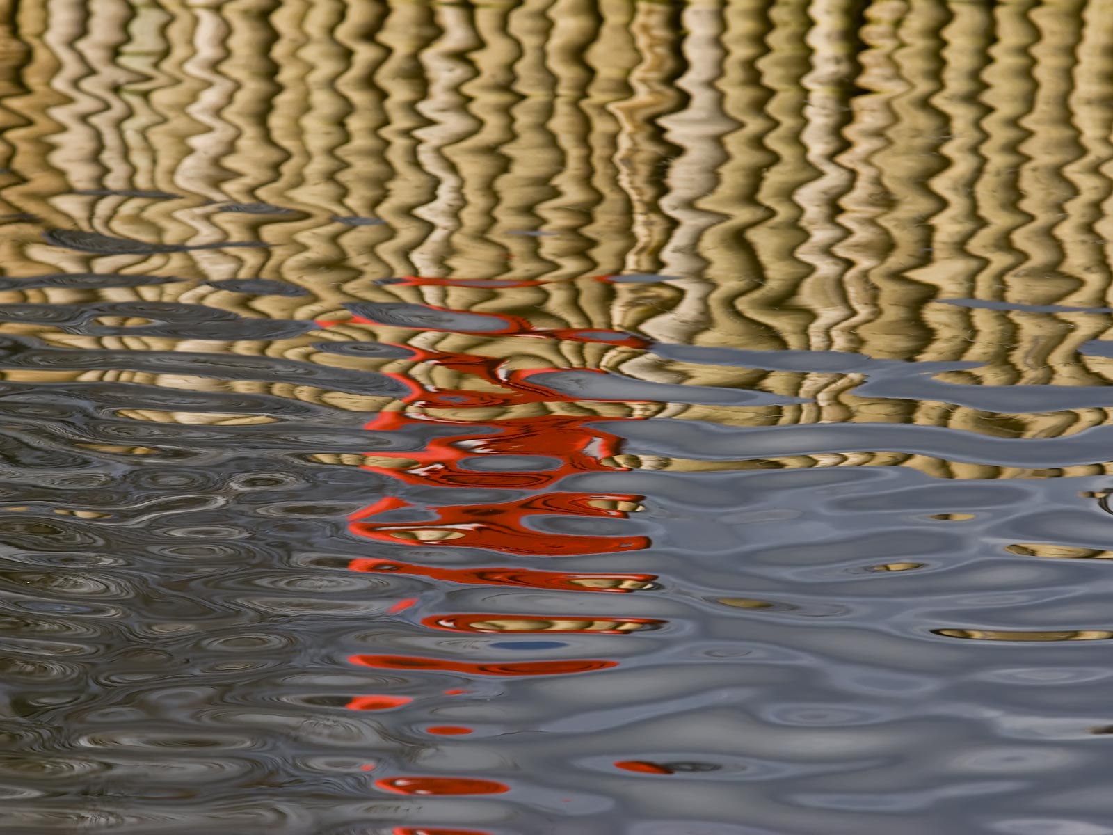 HD Wallpaper Nature's Water Reflection