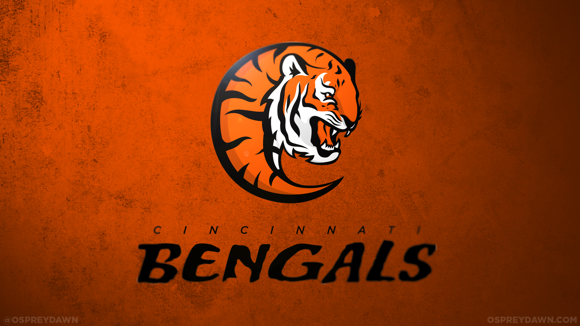 60+ Cincinnati Bengals HD Wallpapers and Backgrounds