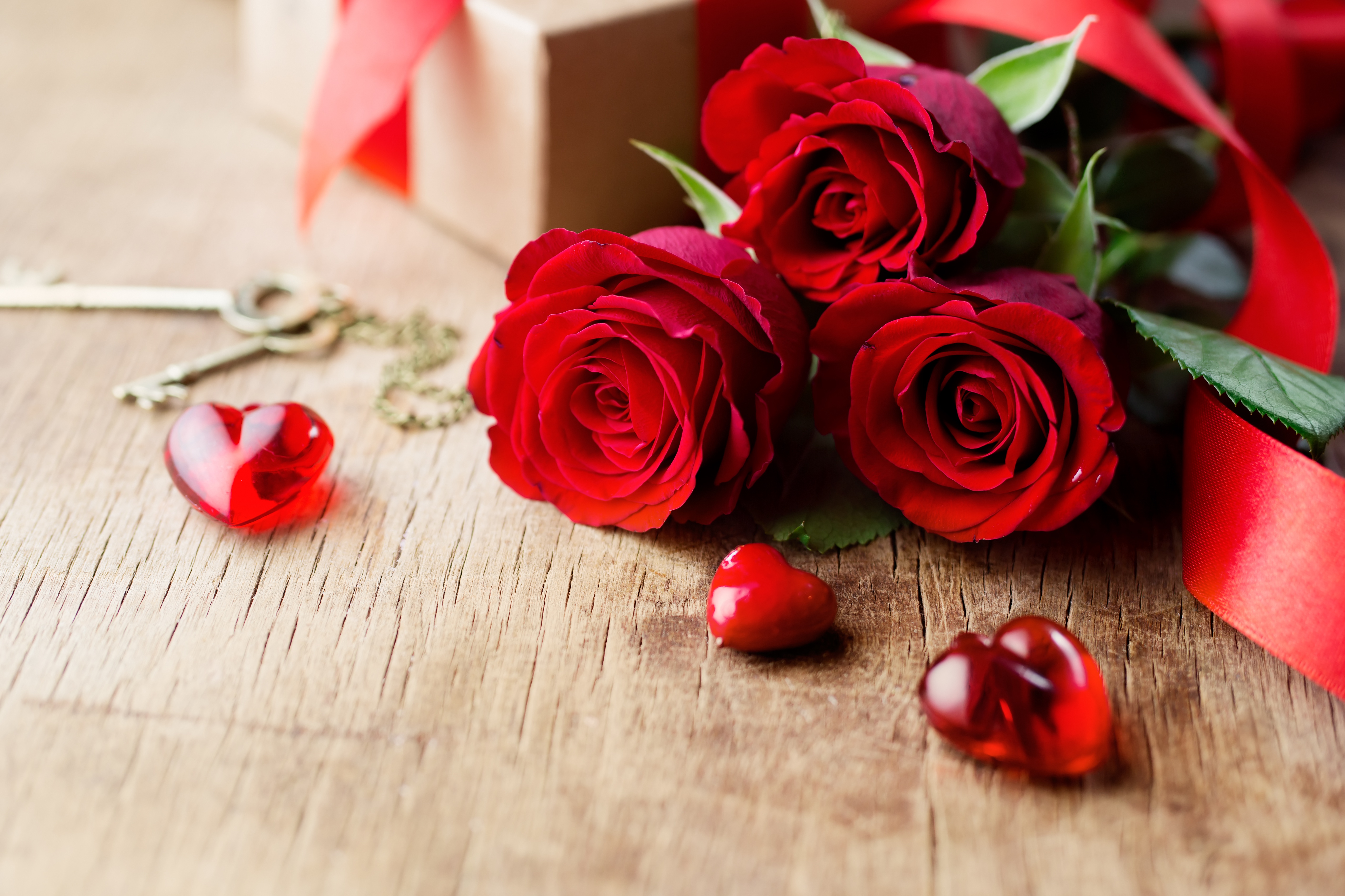 Download Still Life Red Rose Heart Red Flower Rose Holiday Valentine's