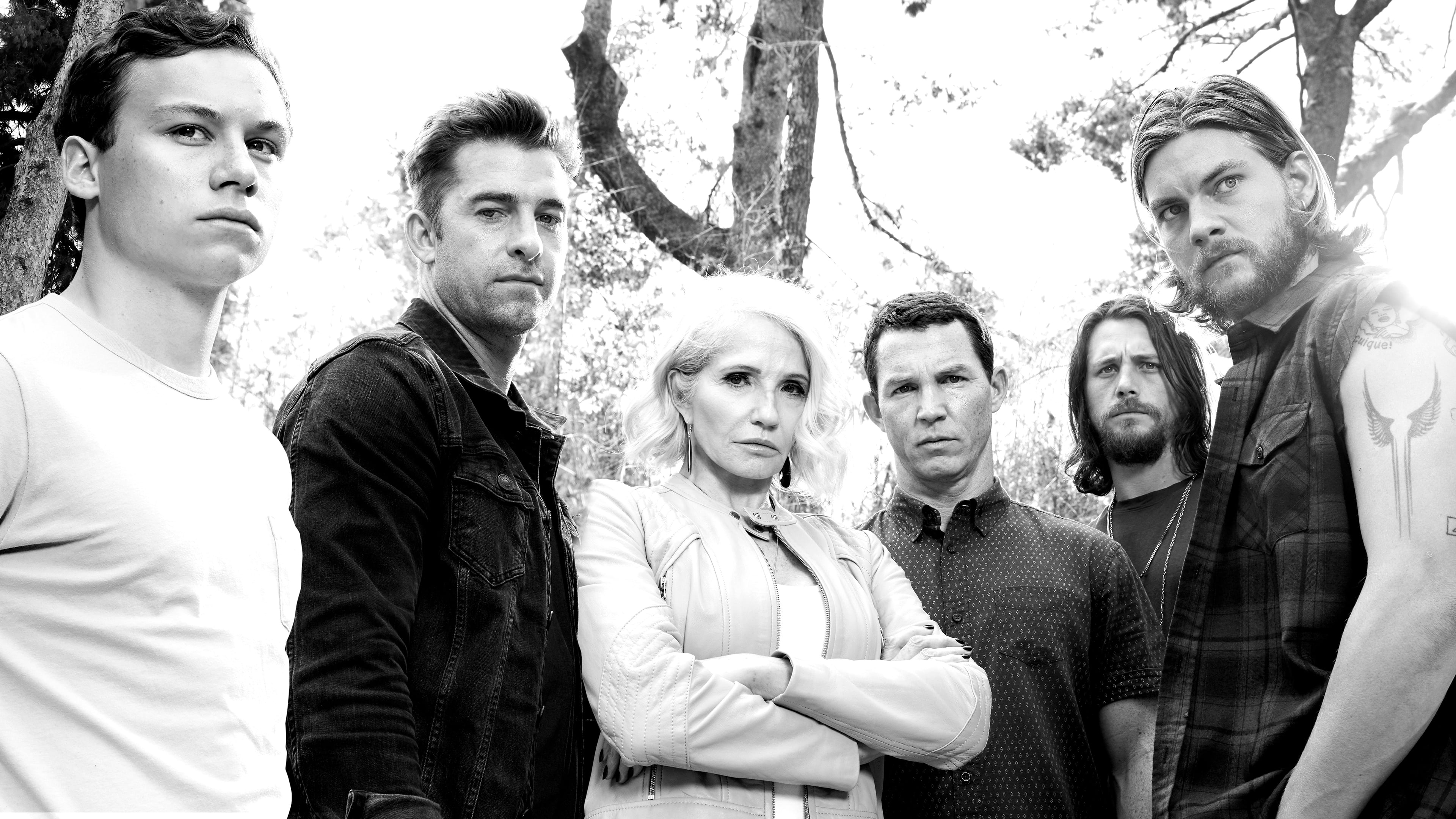 Download TV Show Animal Kingdom 4k Ultra HD Wallpaper