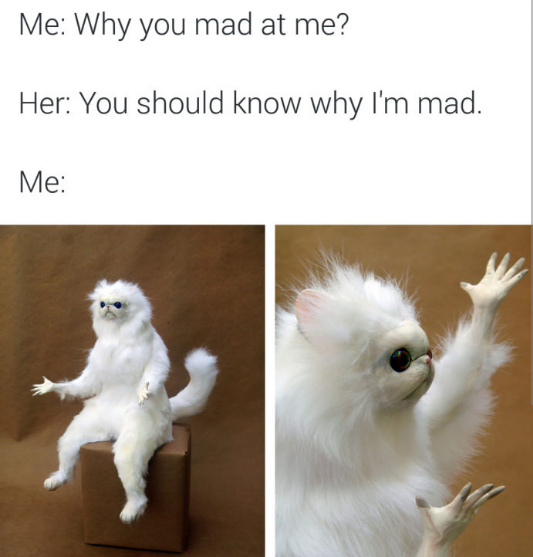 Persian cat room guardian Meme by Forever_a_red ) Memedroid