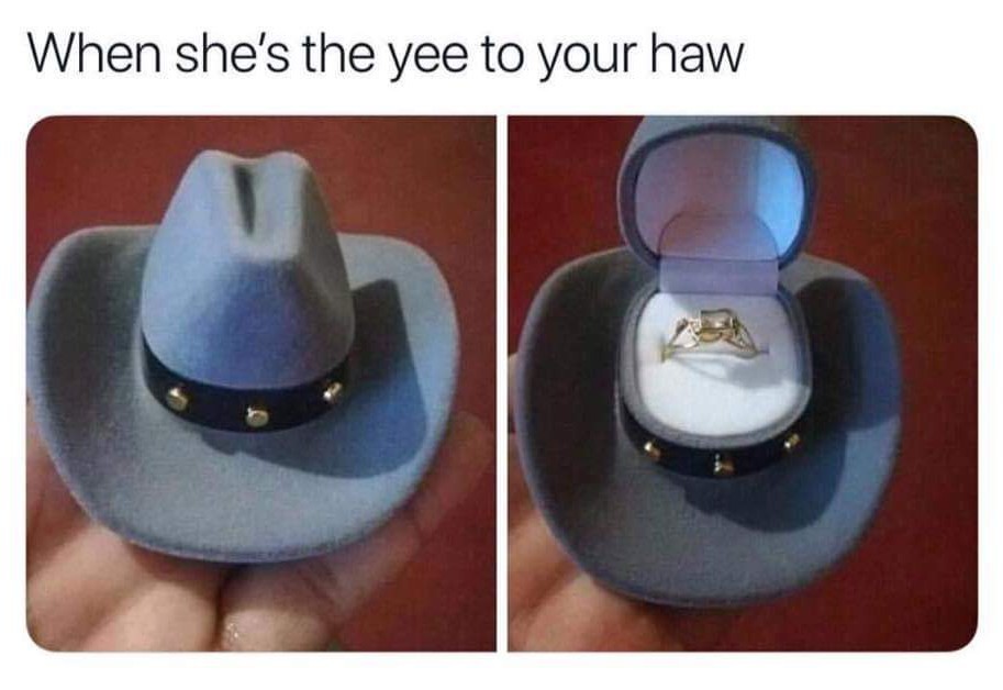 The best yeehaw memes ) Memedroid