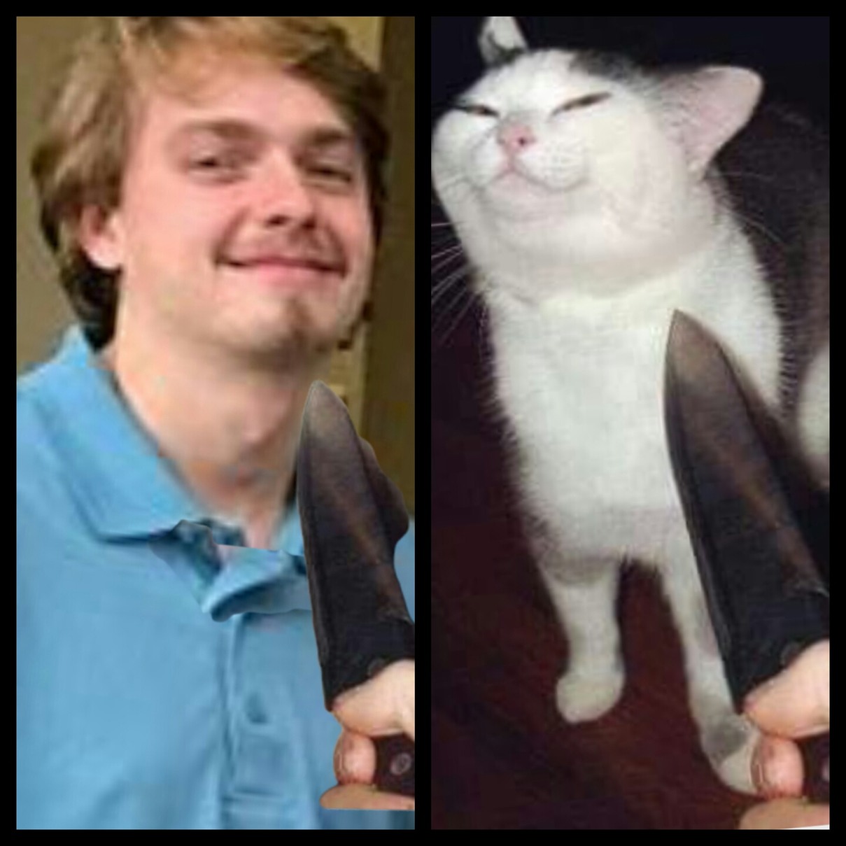 Real life knife cat guy Meme by WJwj1991 ) Memedroid