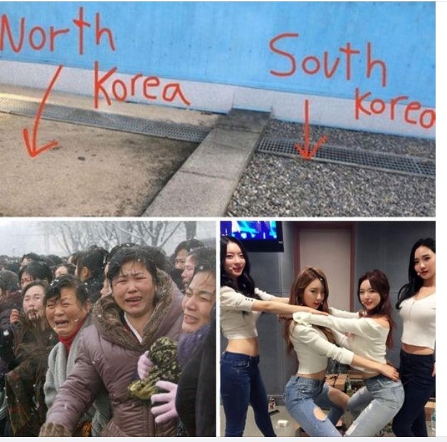 South Korean Meme(09)