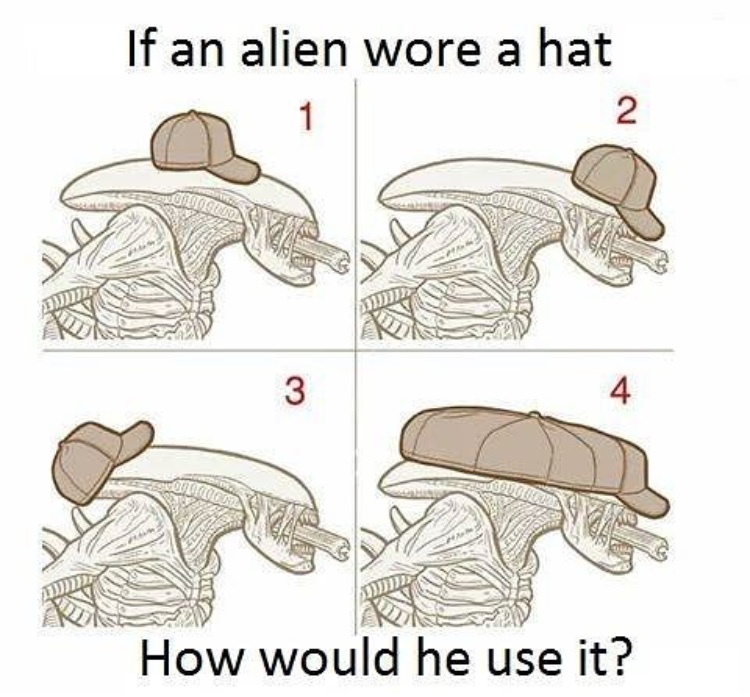 all of the above Meme by GTech ) Memedroid