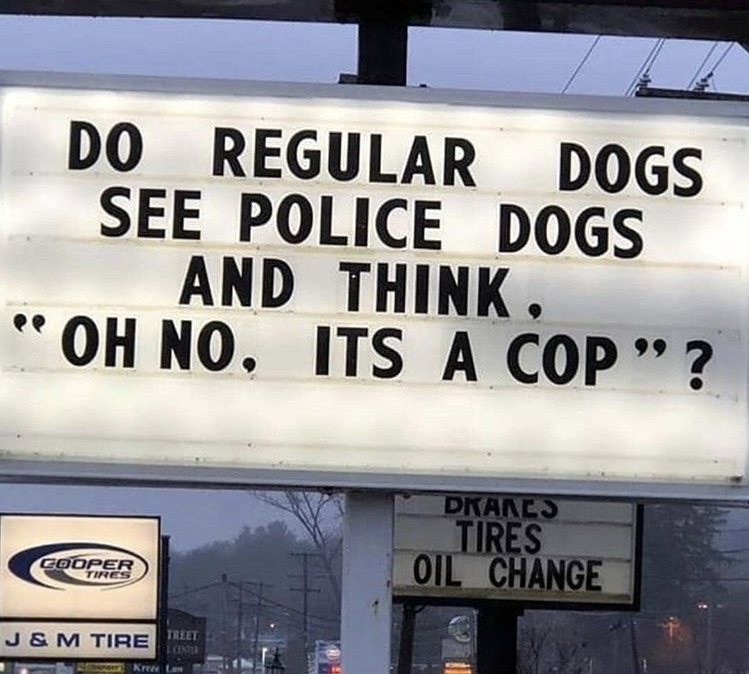 Latest memes ) Memedroid