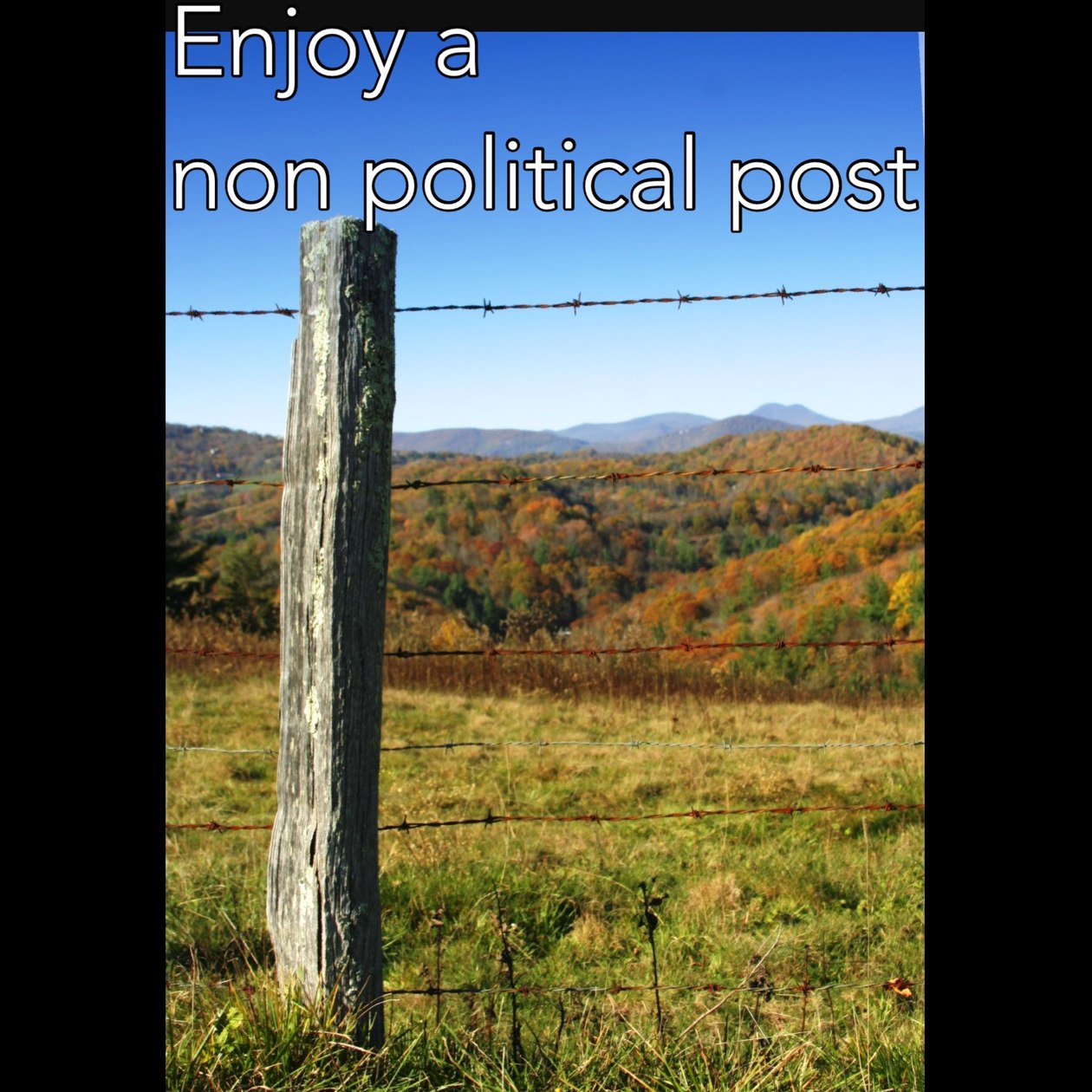 Non Political Post Meme