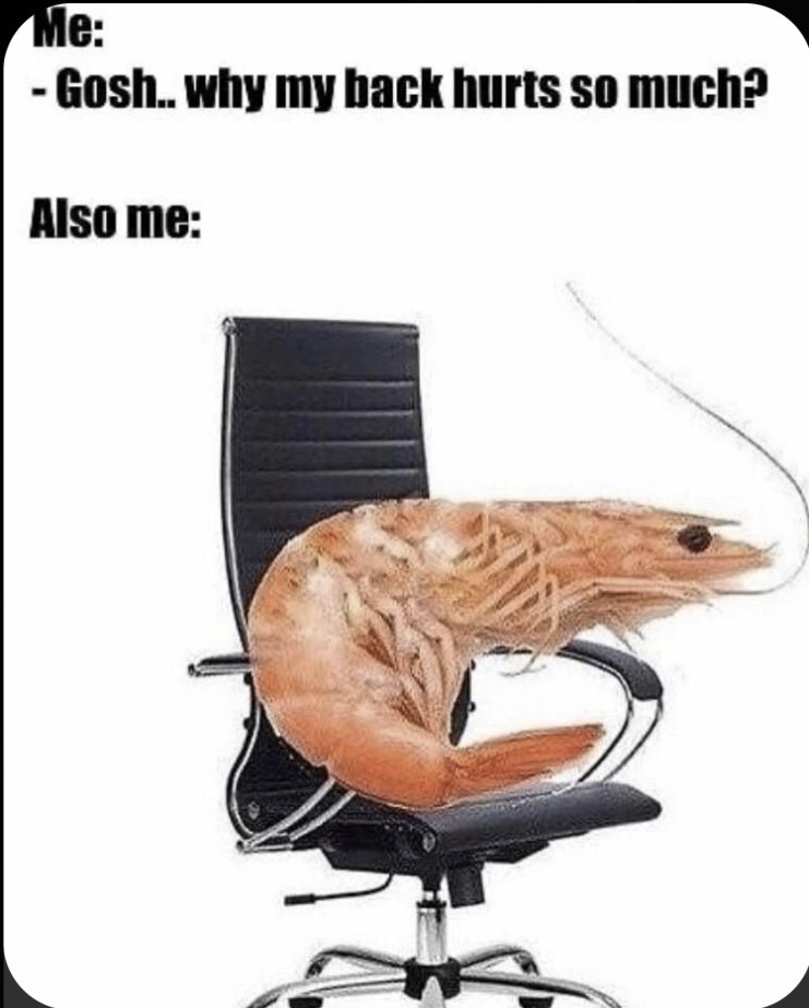 Top 99 avatar chair meme được xem và download nhiều nhất