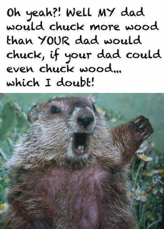 The best Woodchuck memes ) Memedroid
