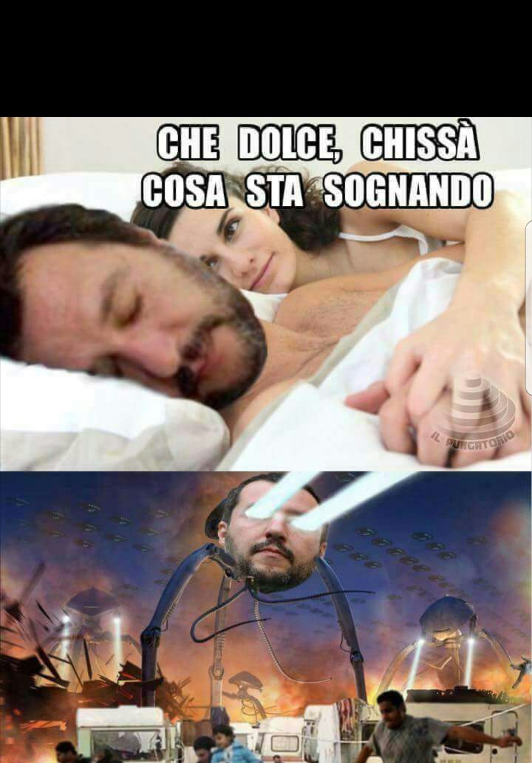 The best salvini memes ) Memedroid