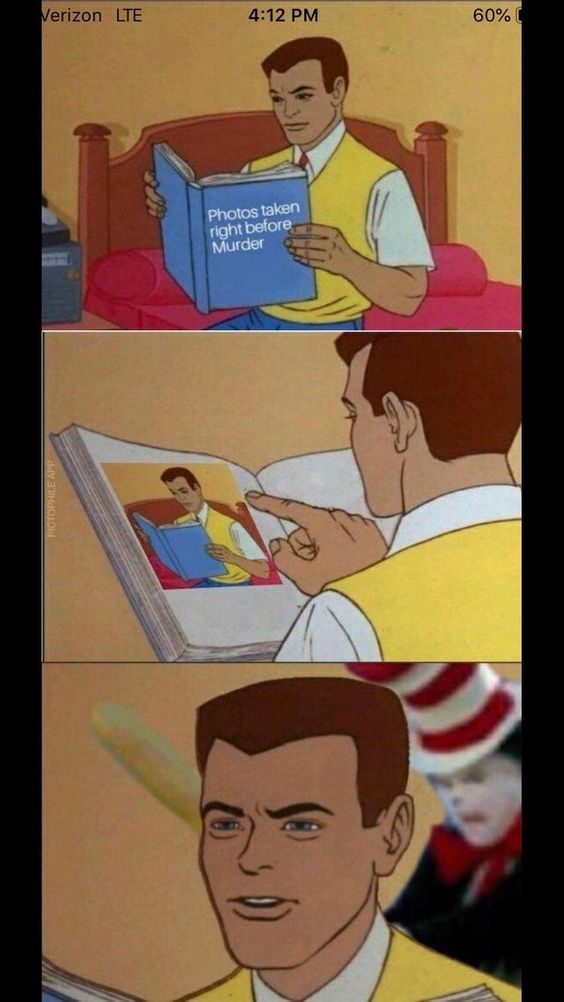 The best cat in the hat memes ) Memedroid