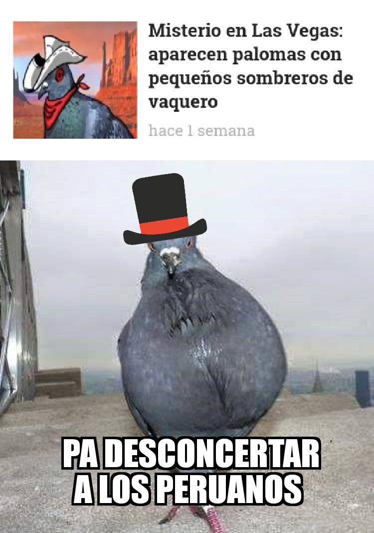 Dicen que los peruanos comen palomas Meme subido por BioHazardAK