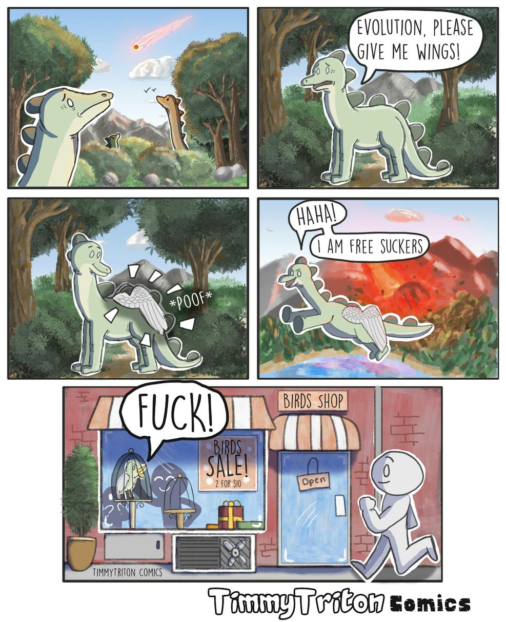 Evolution Meme by TimmyTriton ) Memedroid