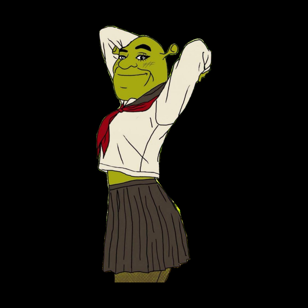Shrek 5 comes out in 2020 Meme by spicybitch ) Memedroid