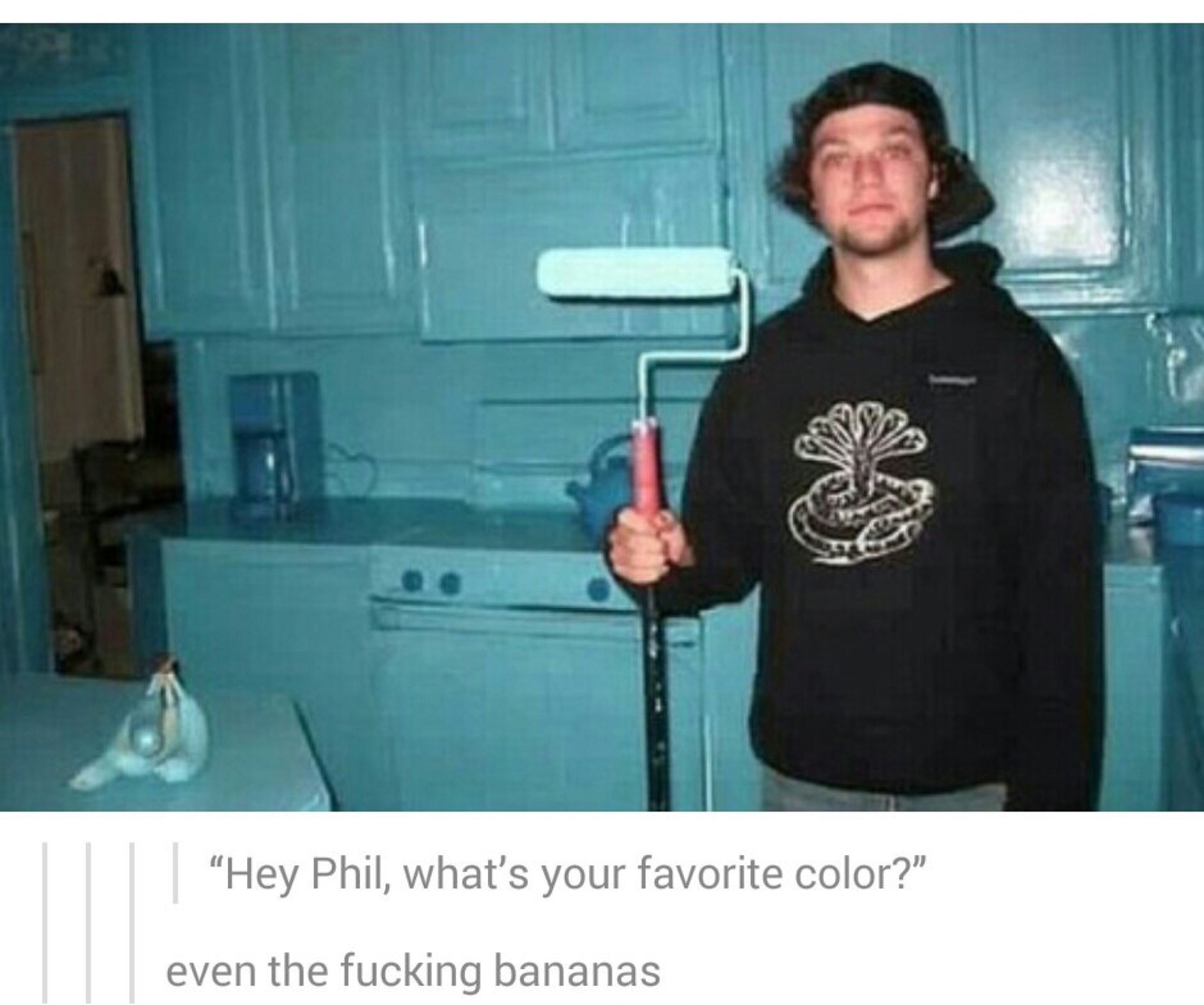 The best jackass memes ) Memedroid