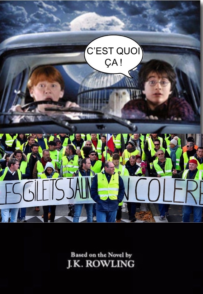 Si harry potter 2 se passait en France Meme by ENPmeme