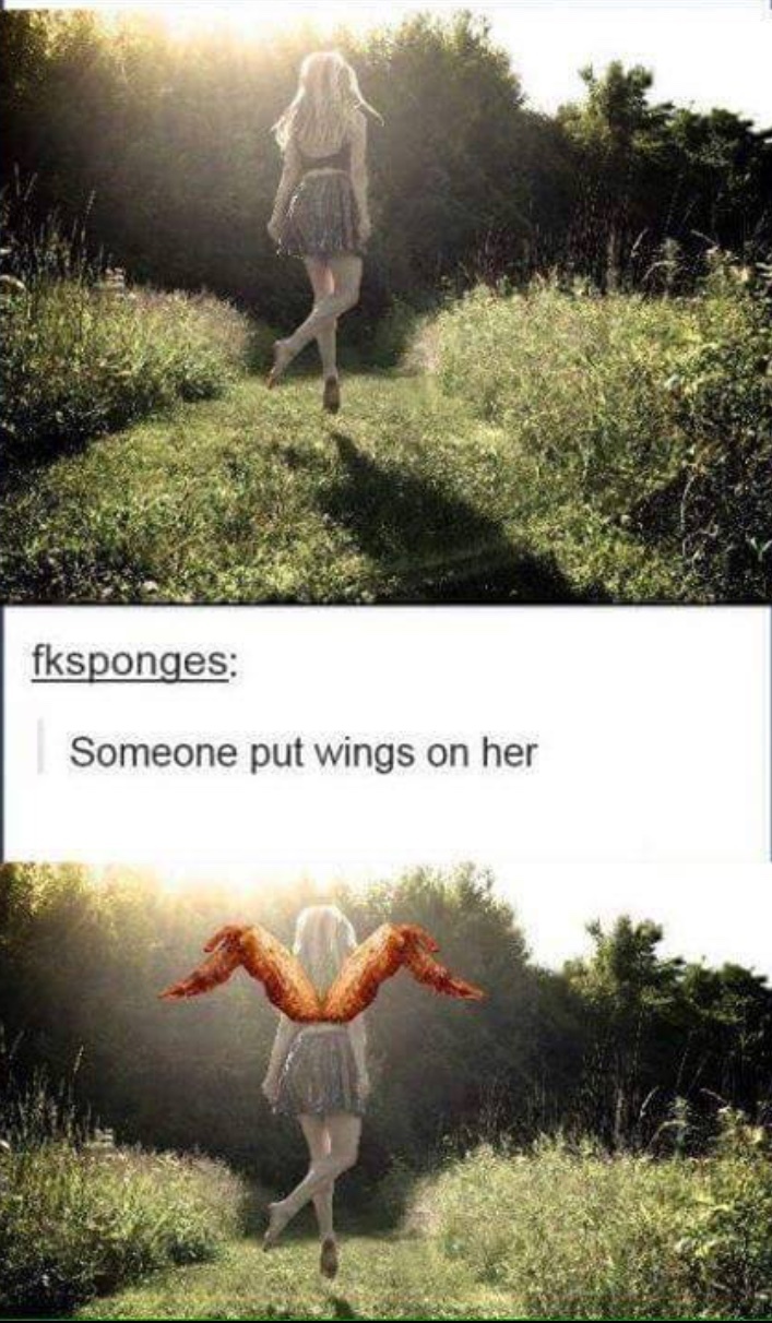 wings Meme by Fyuse ) Memedroid